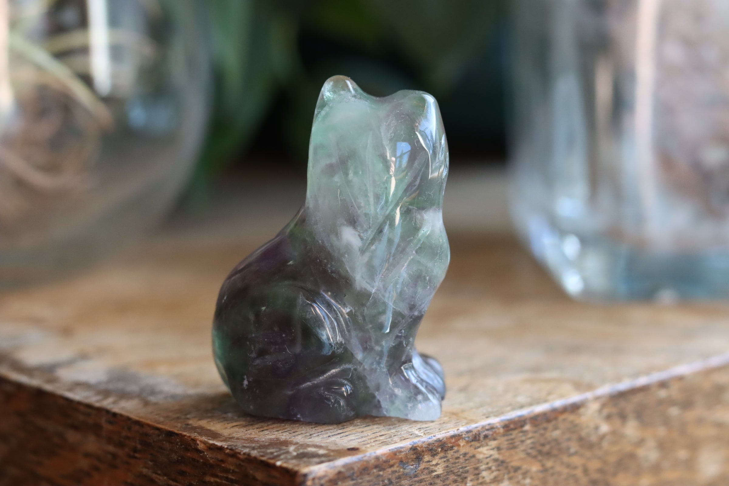 Rainbow fluorite cat 9