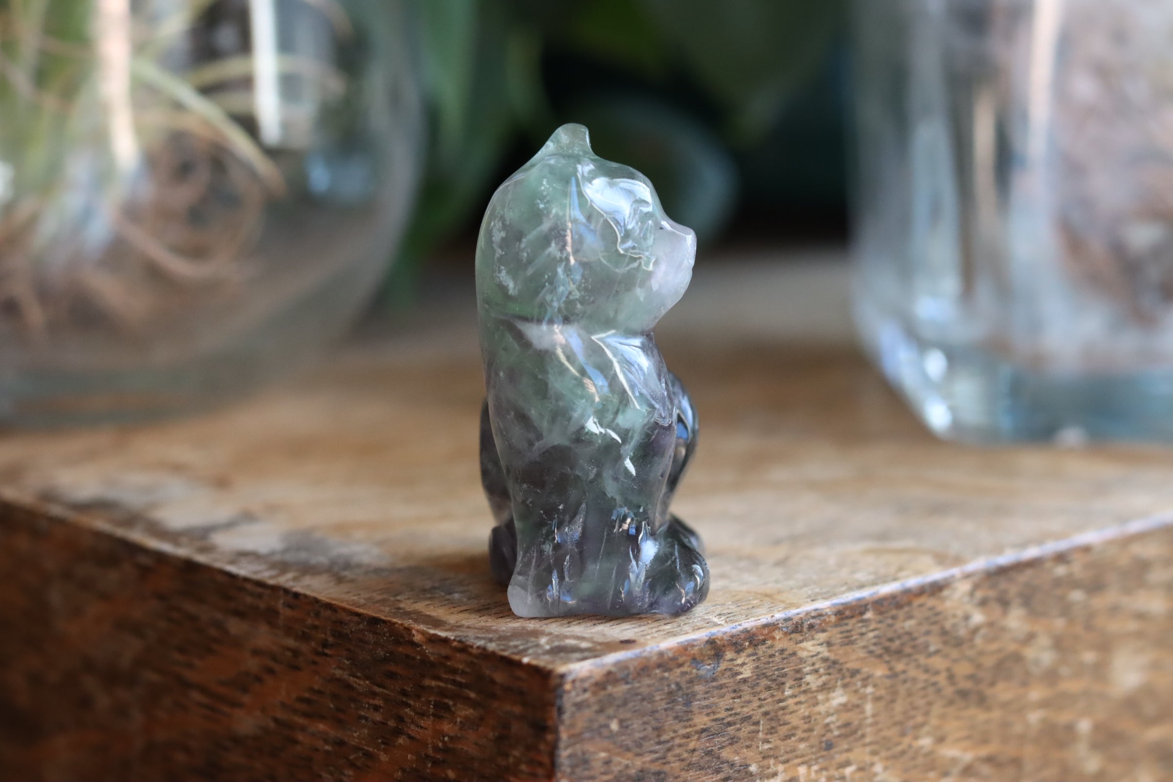 Rainbow fluorite cat 9