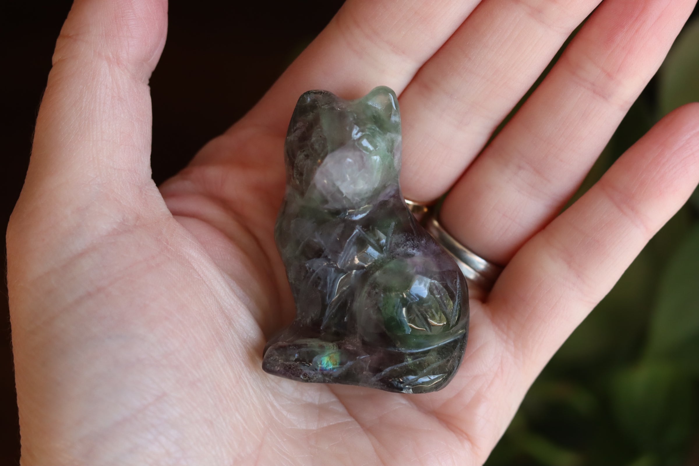 Rainbow fluorite cat 9