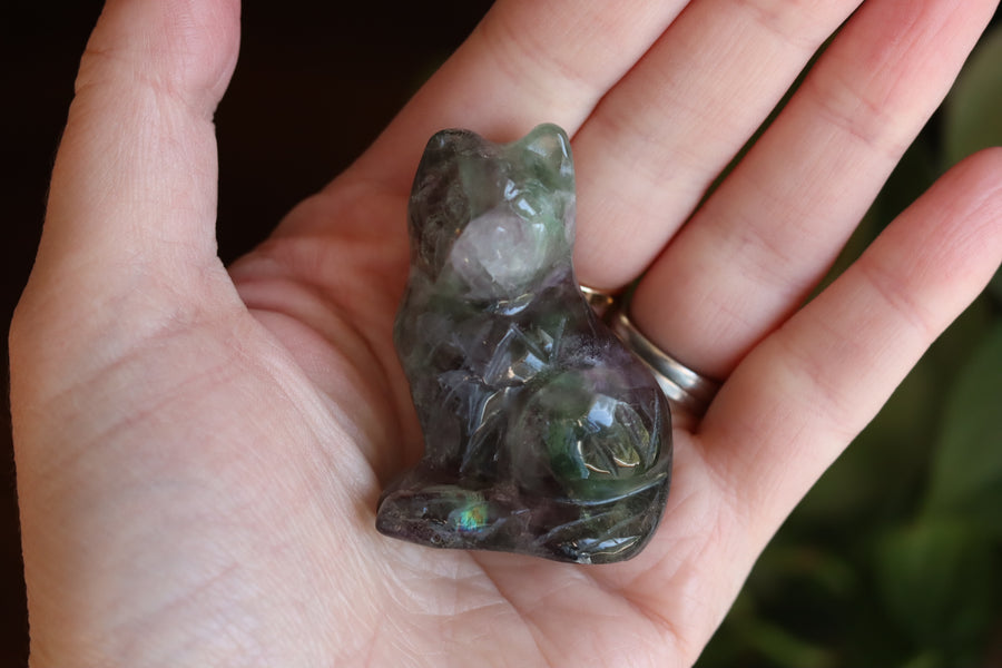 Rainbow fluorite cat 9 new