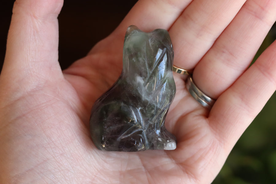 Rainbow fluorite cat 9 new