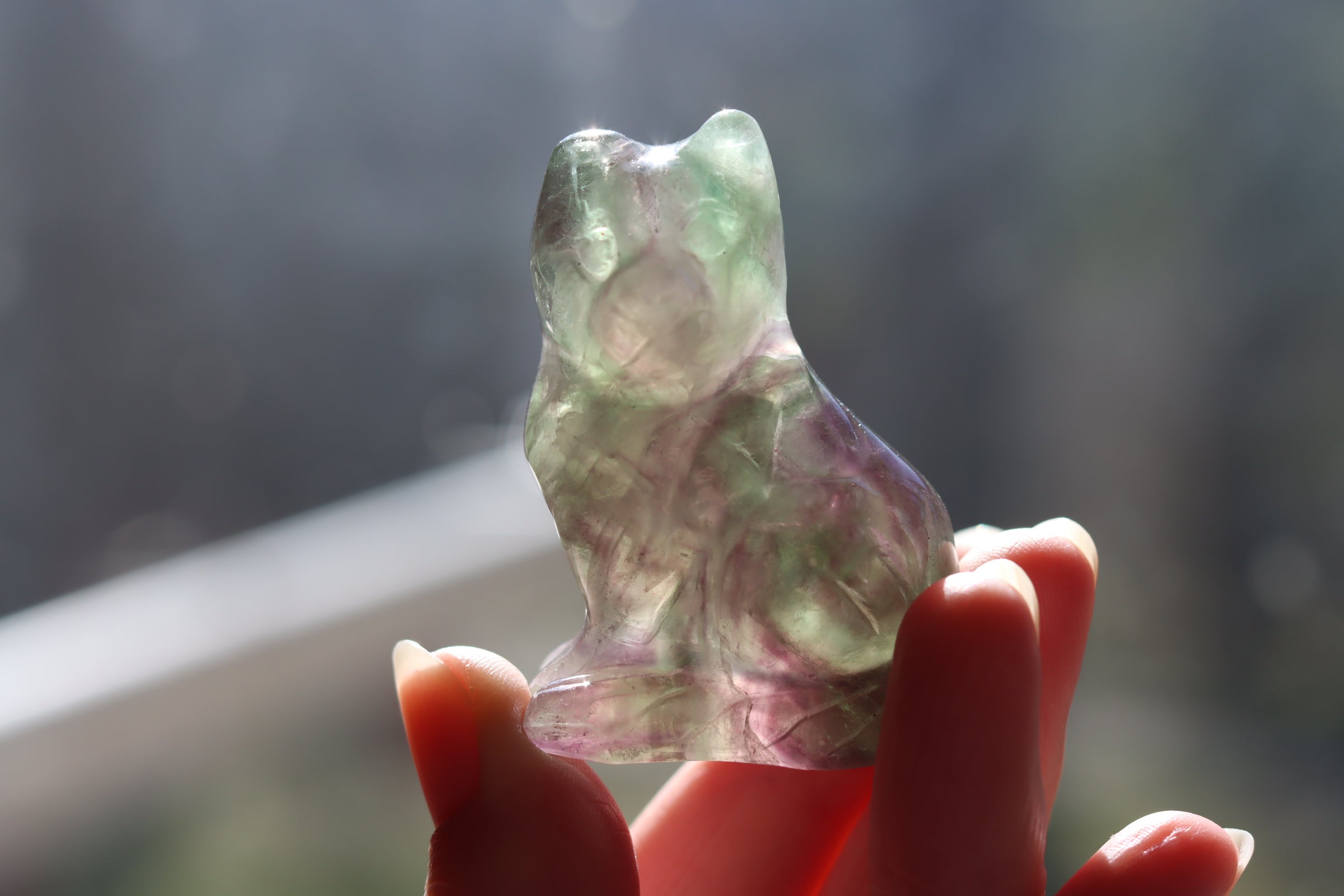 Rainbow fluorite cat 9