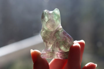 Rainbow fluorite cat 9 new