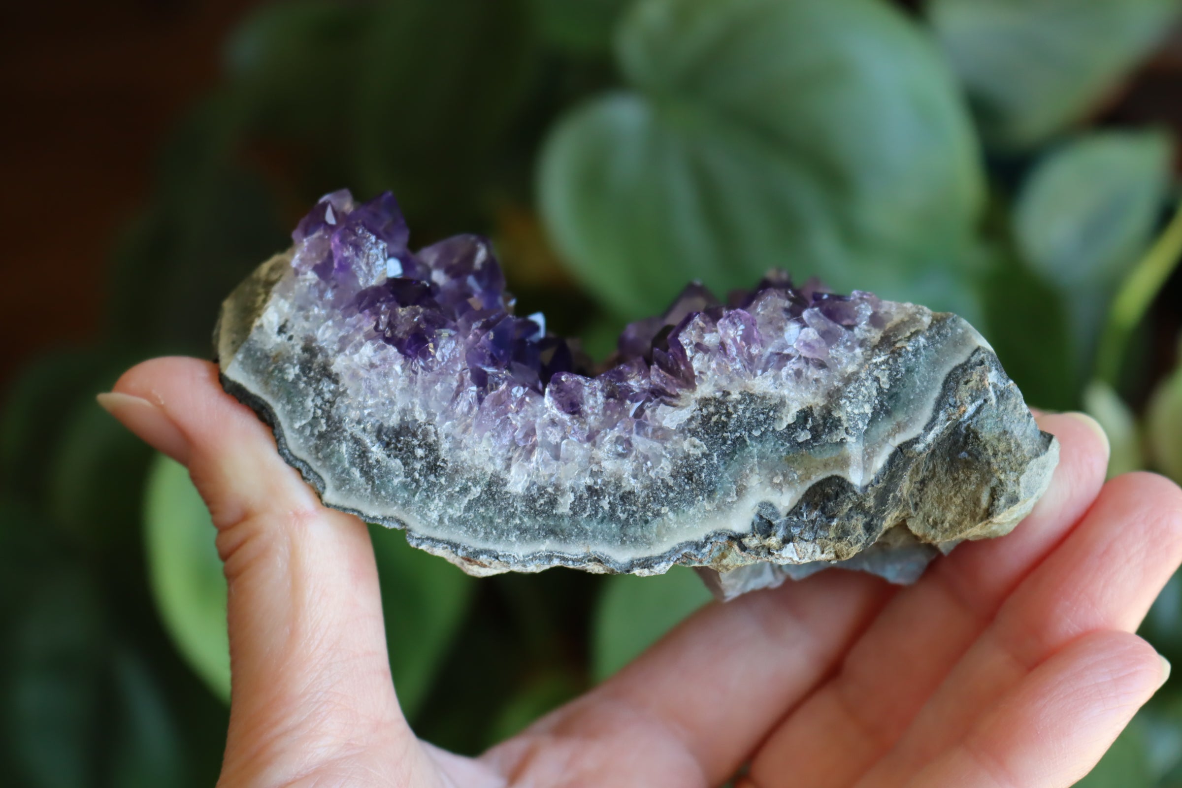 Amethyst cluster 5 new