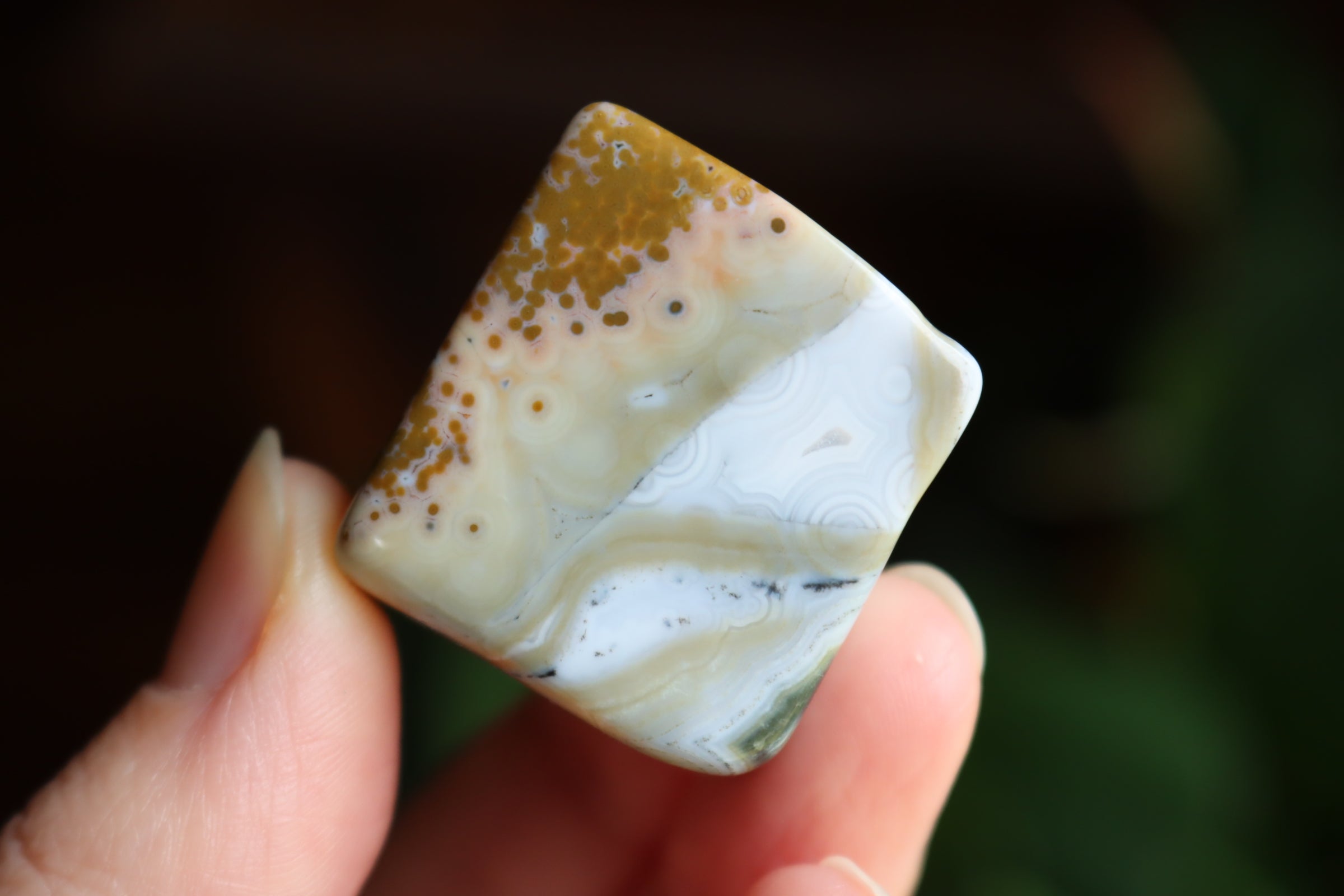 Ocean jasper tumbled stone 2 new