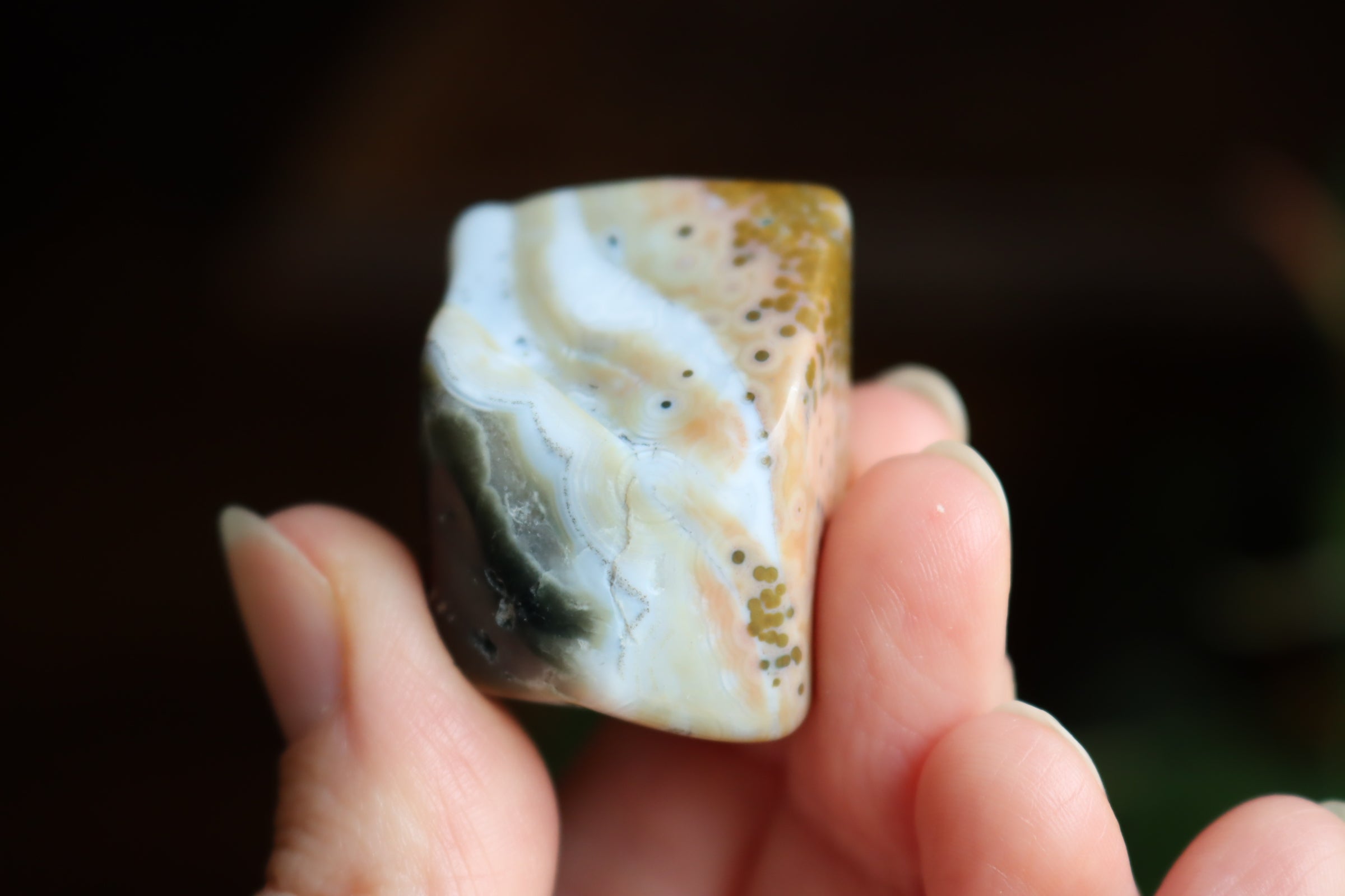 Ocean jasper tumbled stone 2 new