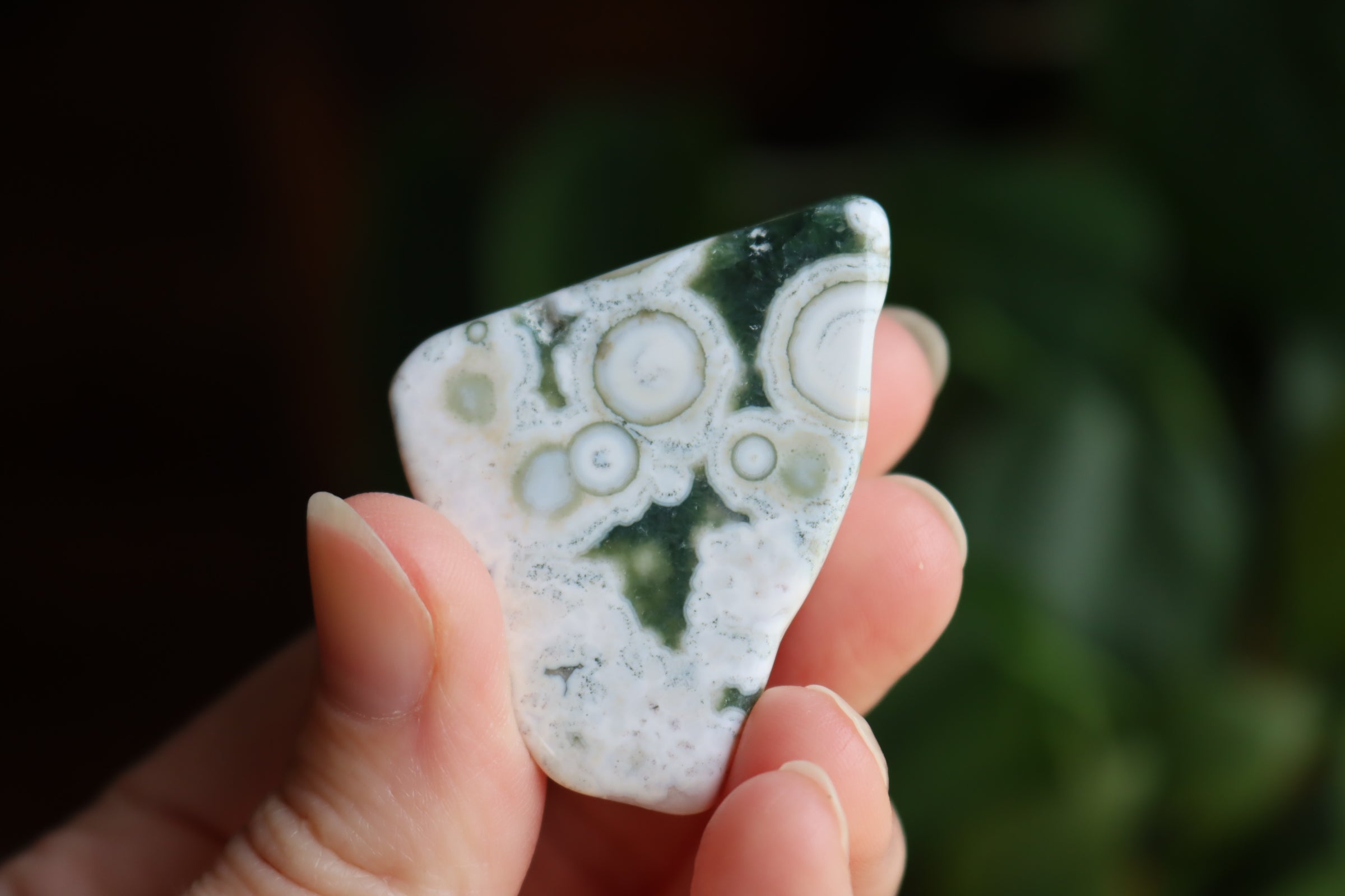 Ocean jasper tumbled stone 3 new