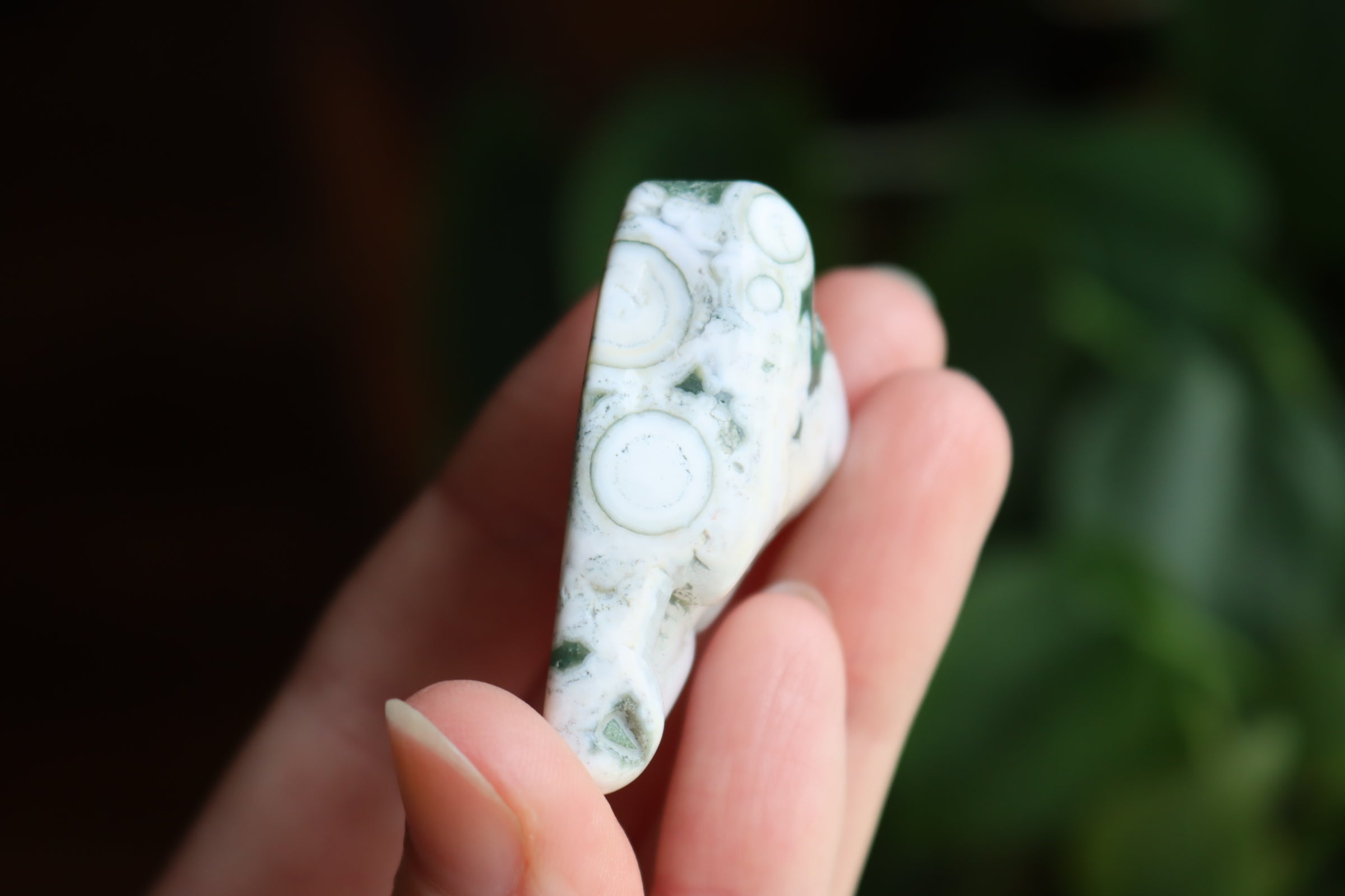 Ocean jasper tumbled stone 3 new