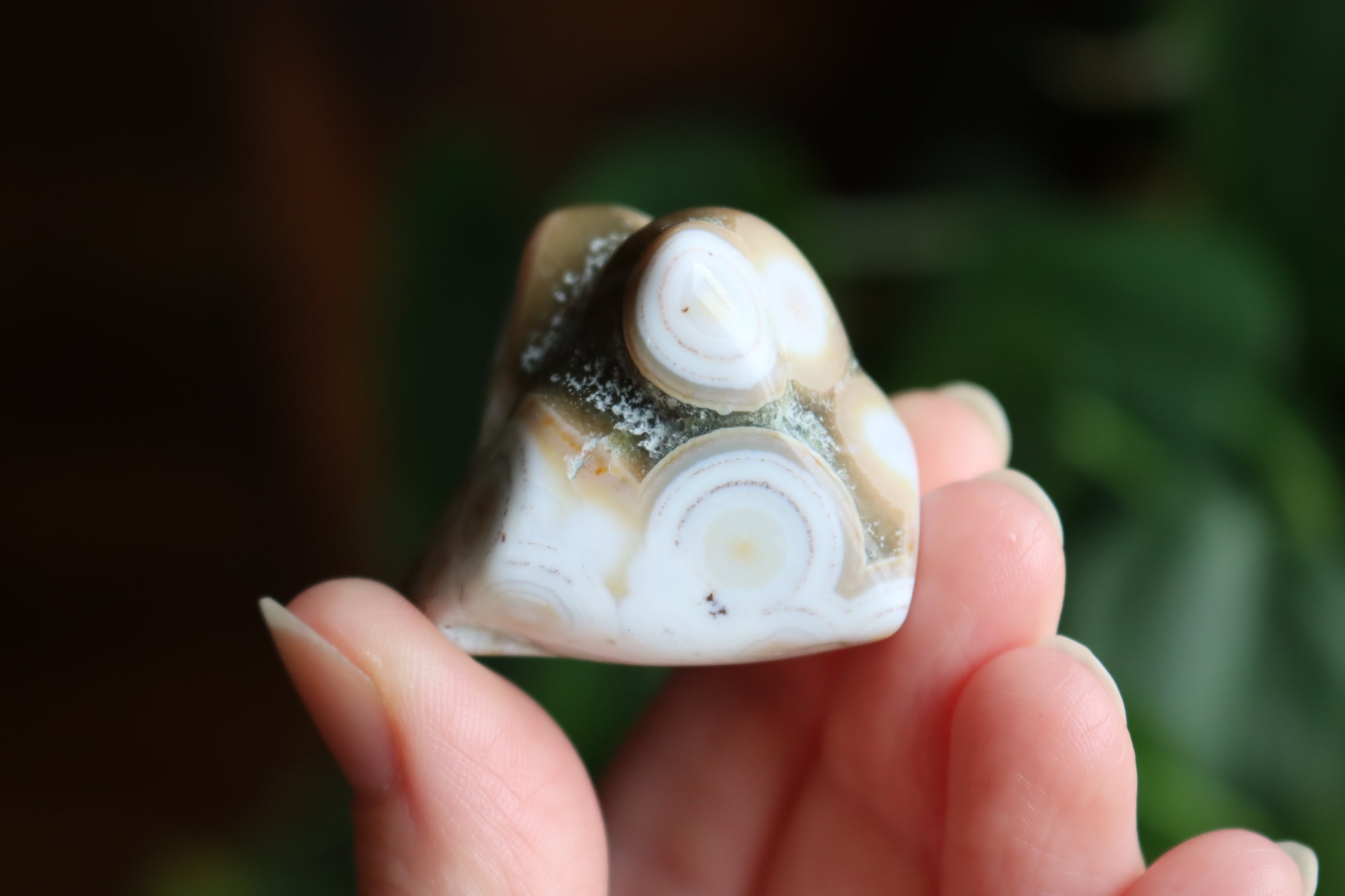 Ocean jasper tumbled stone 5 new