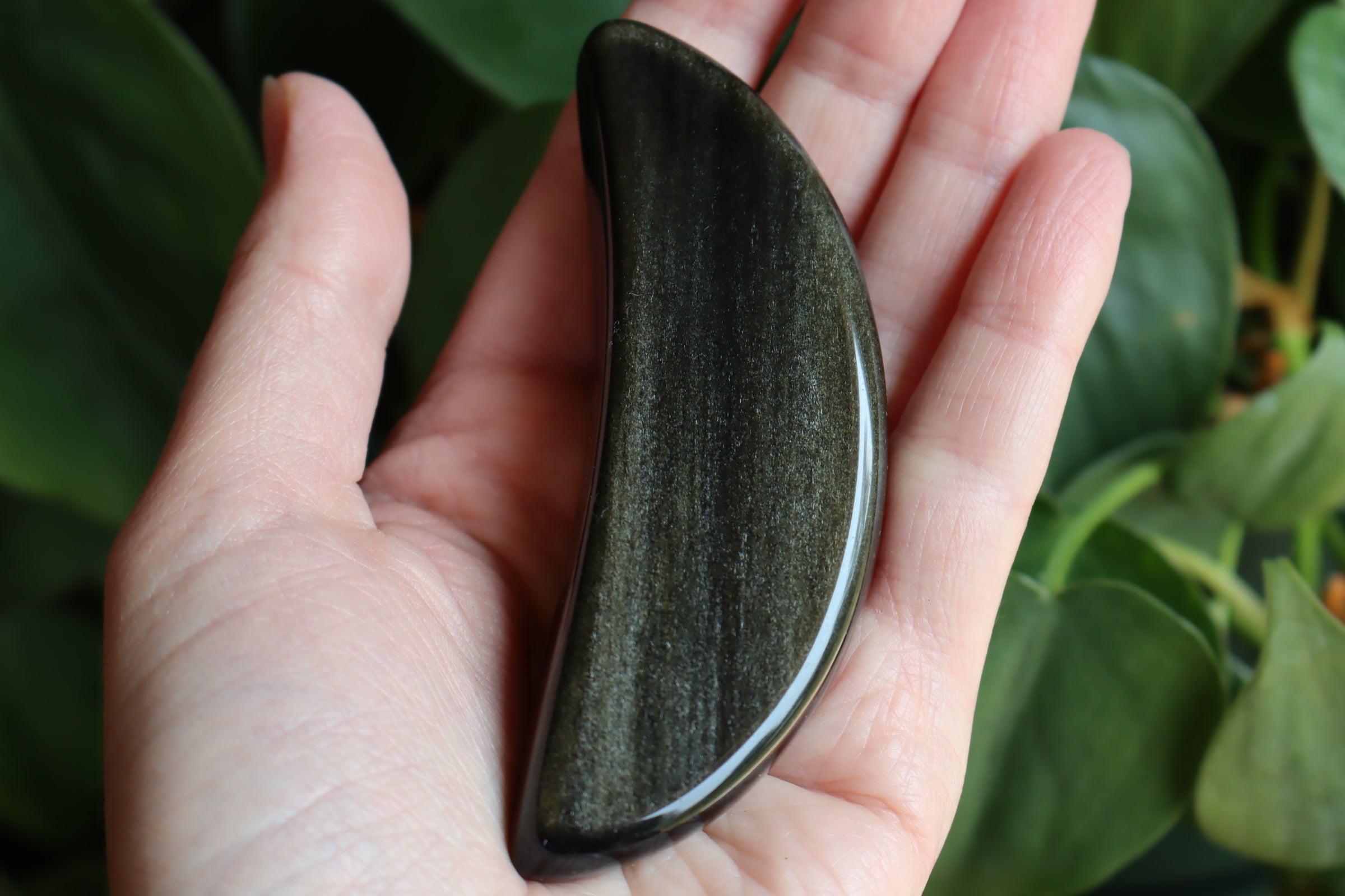 Gold sheen obsidian moon 10 new