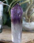 Polished amethyst root 2