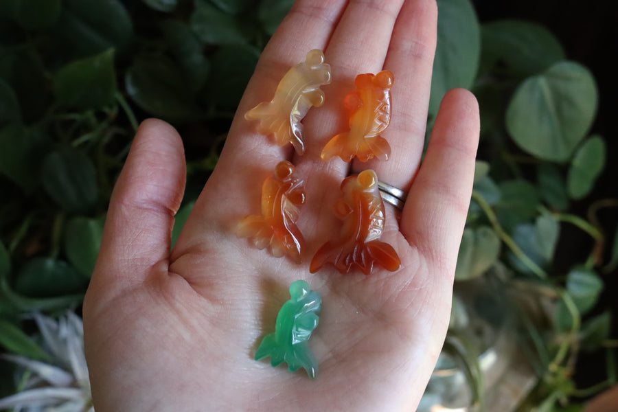 Small/Medium agate goldfish