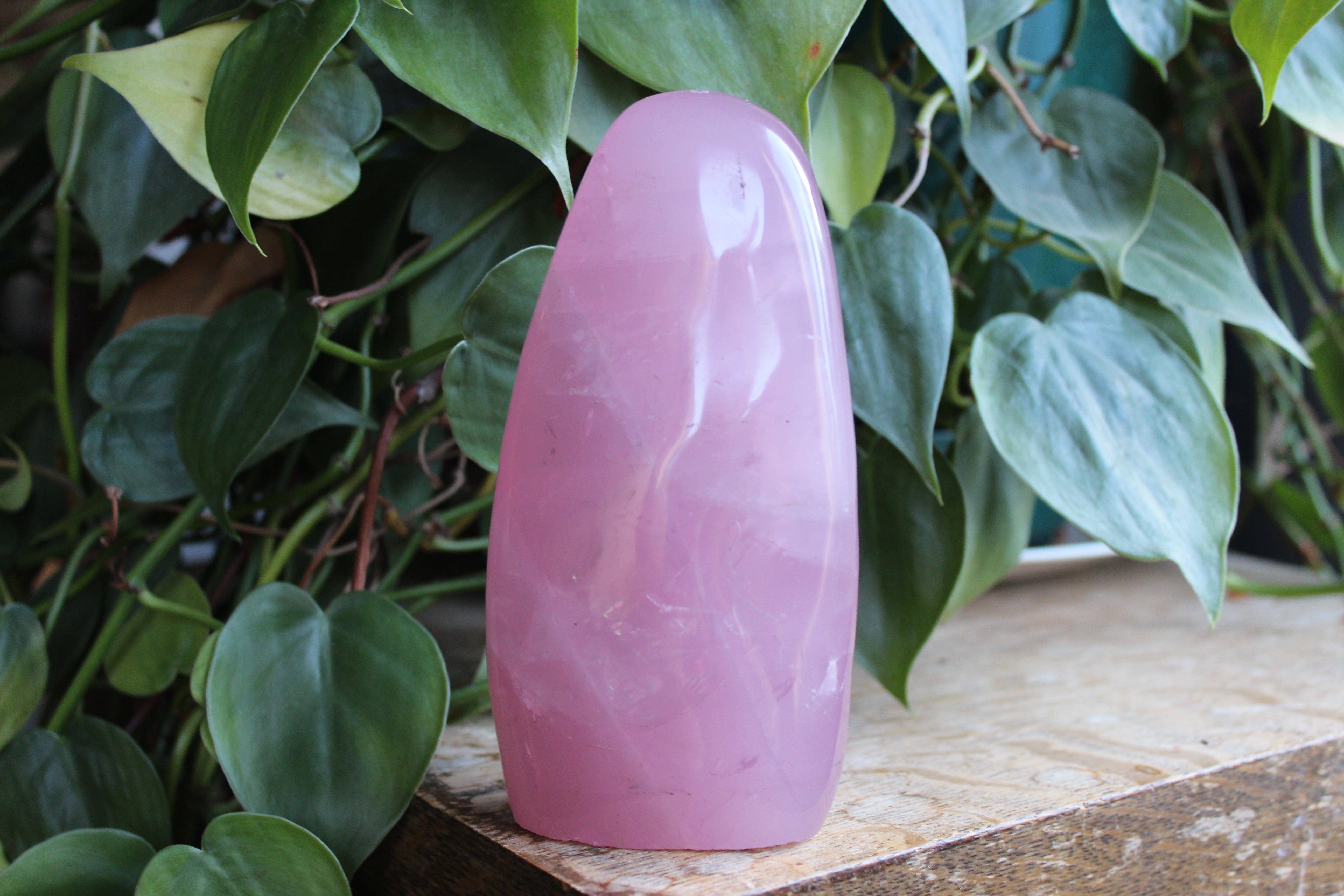 Rose quartz free form 1, new