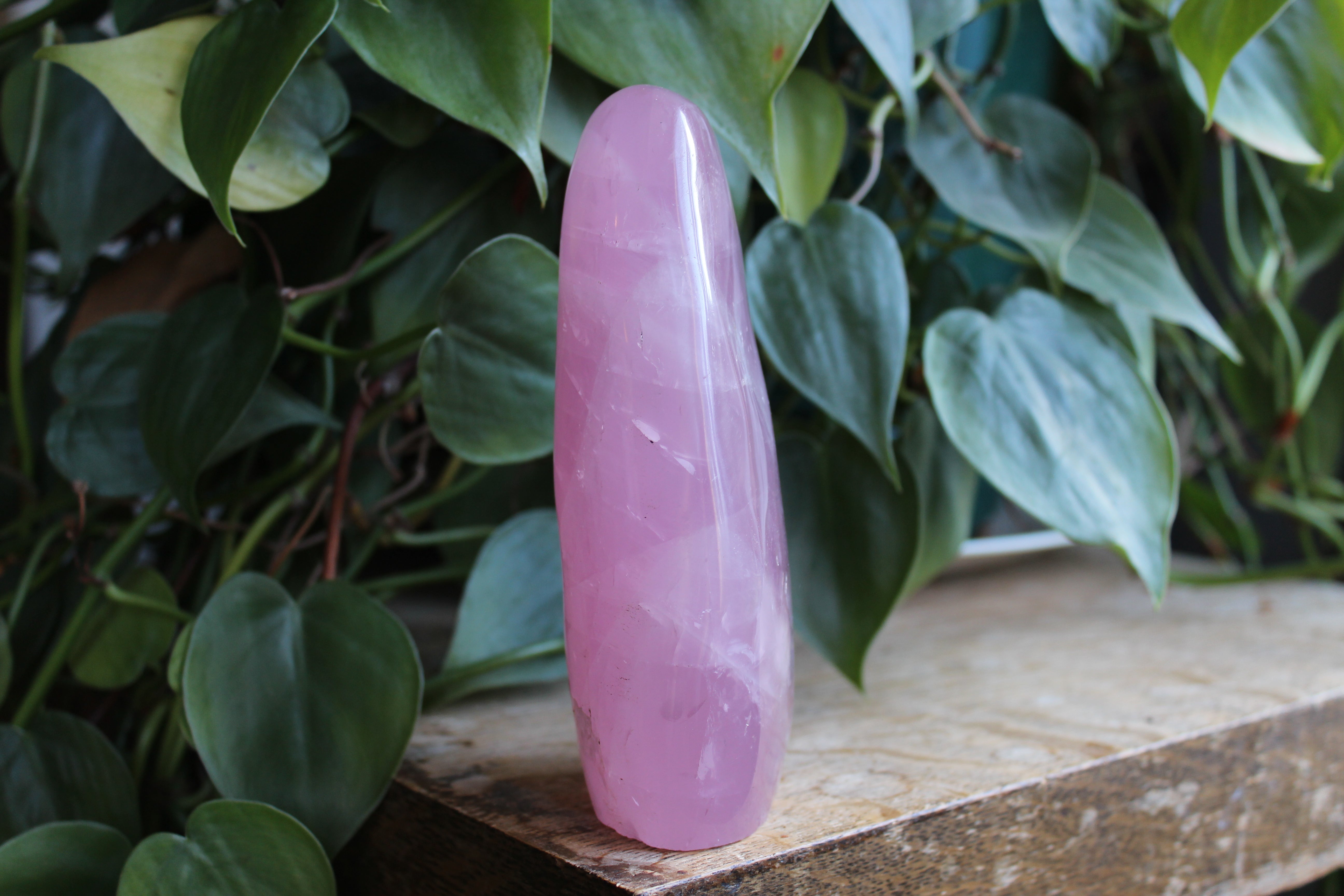 Rose quartz free form 1, new