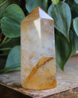 Golden healer tower with dendrites1, new