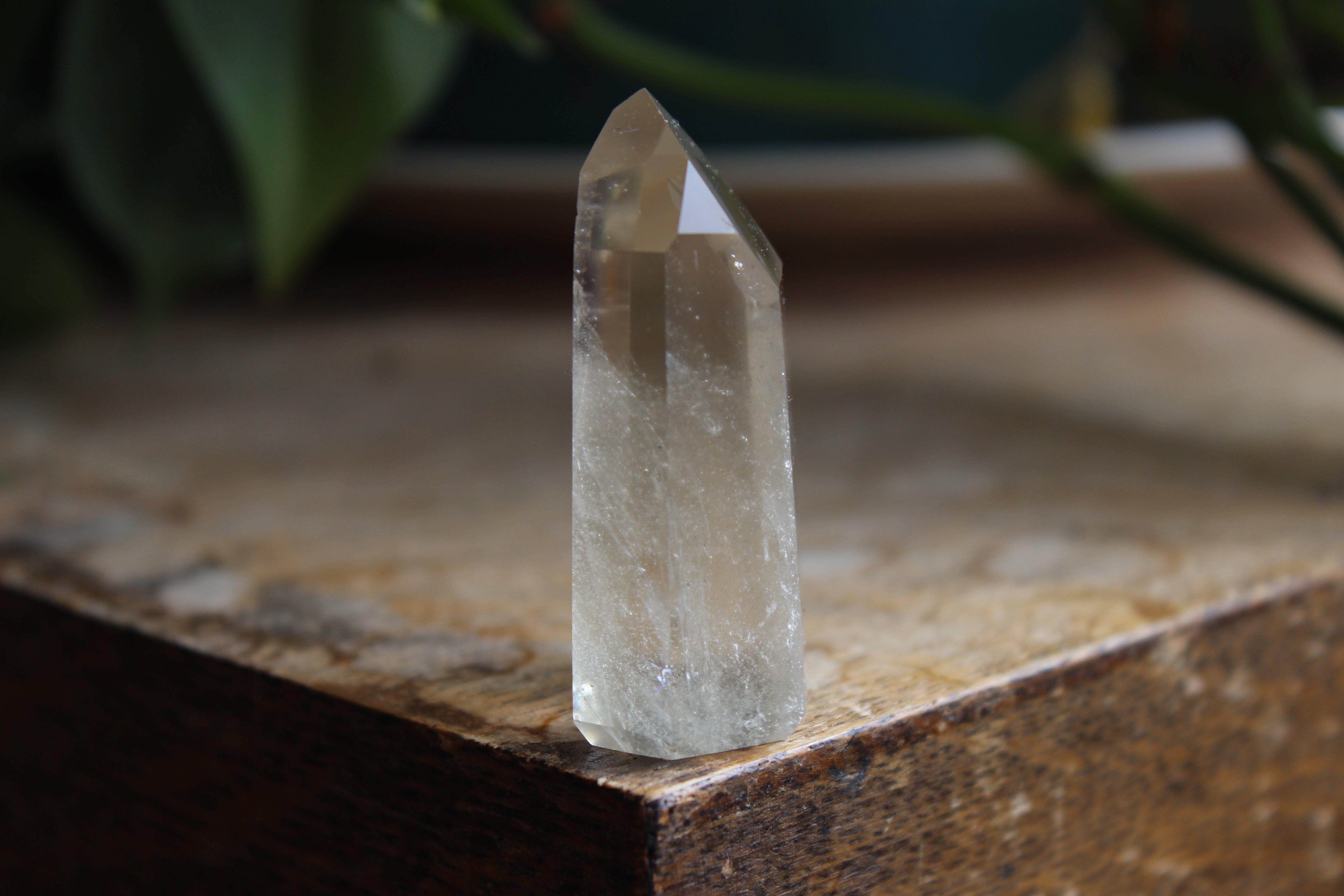 Citrine tower 8, new