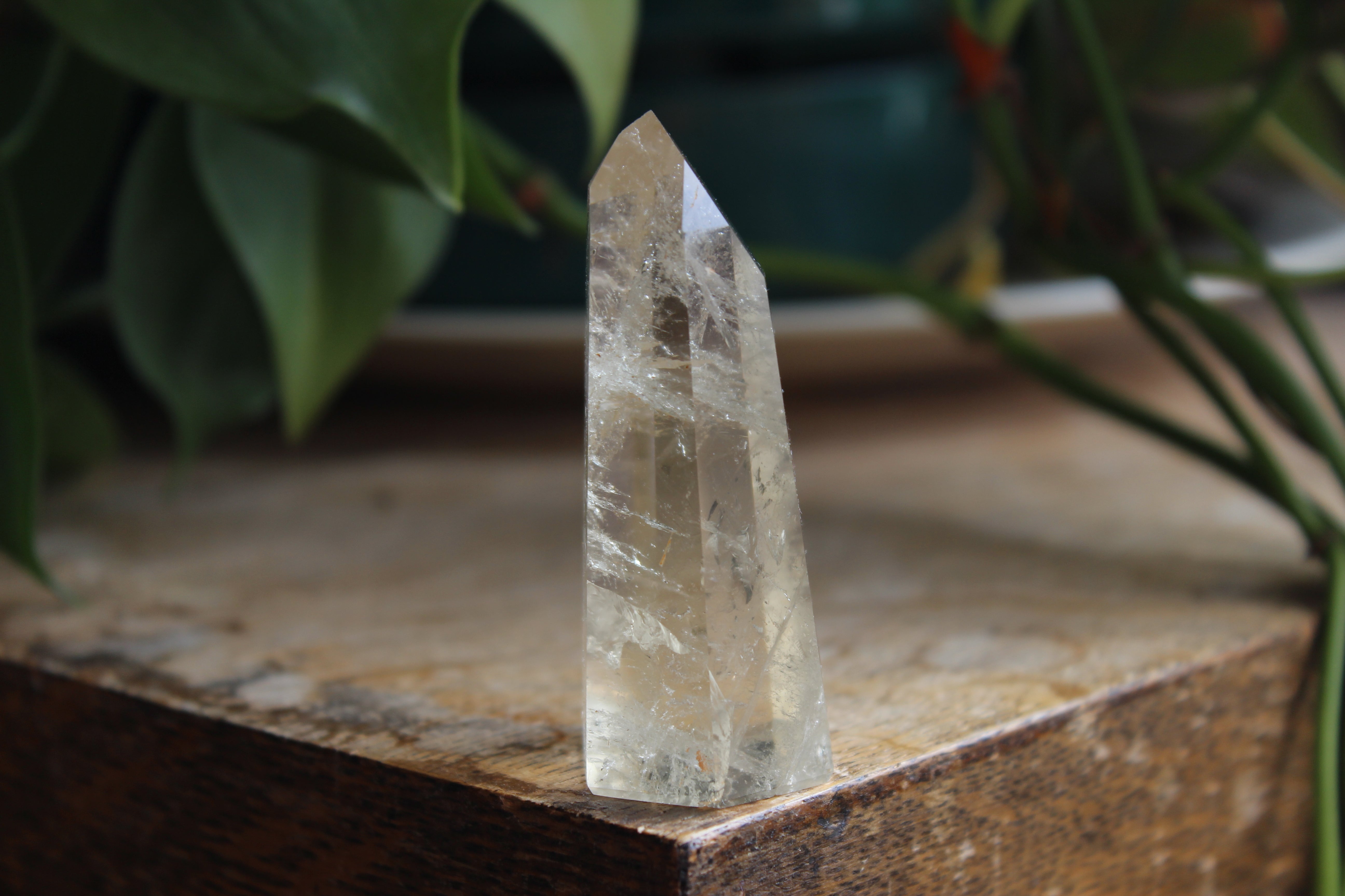 Citrine tower 9, new