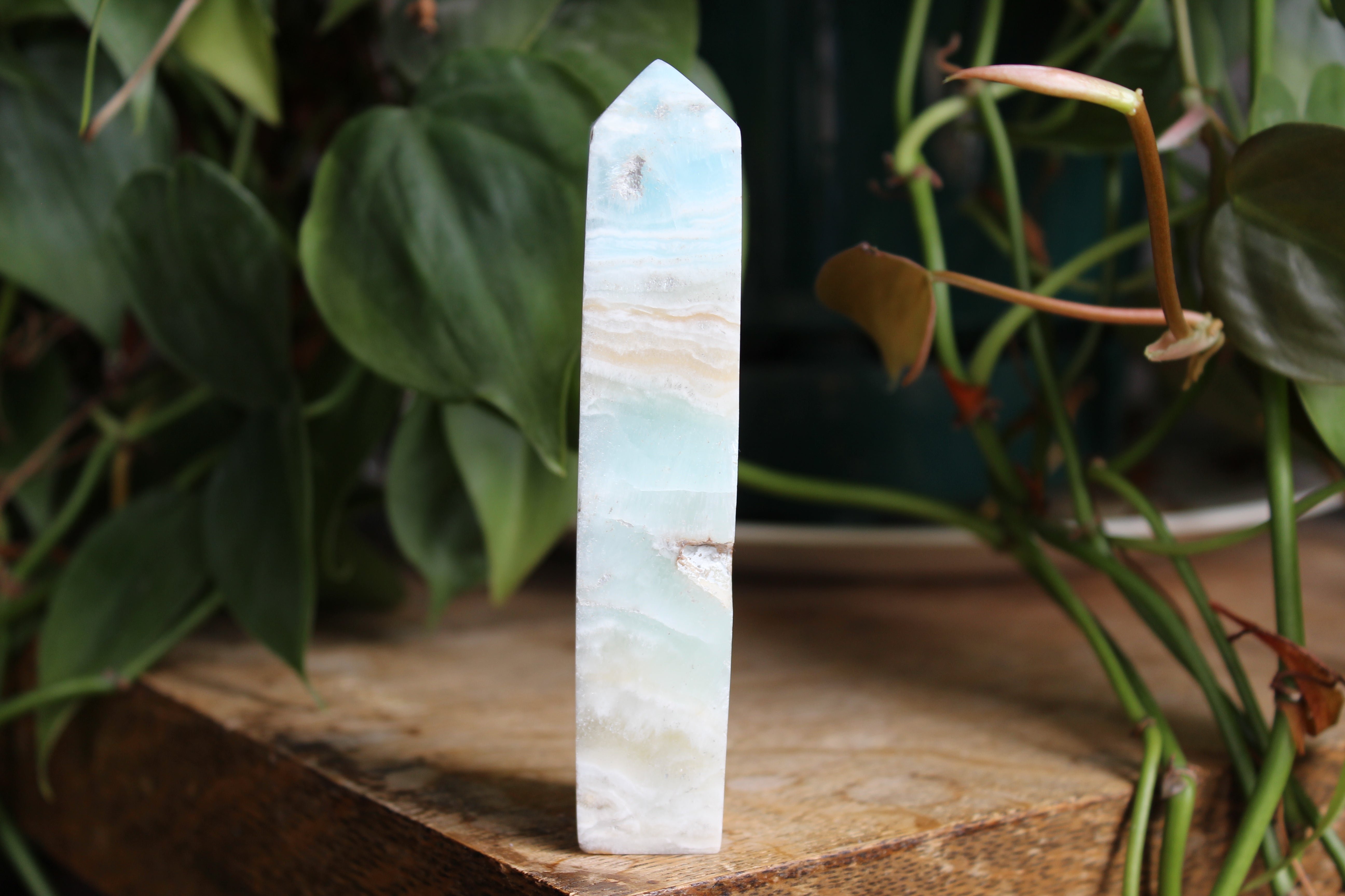 Caribbean calcite tower 1, new