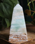 Caribbean calcite tower 2, new