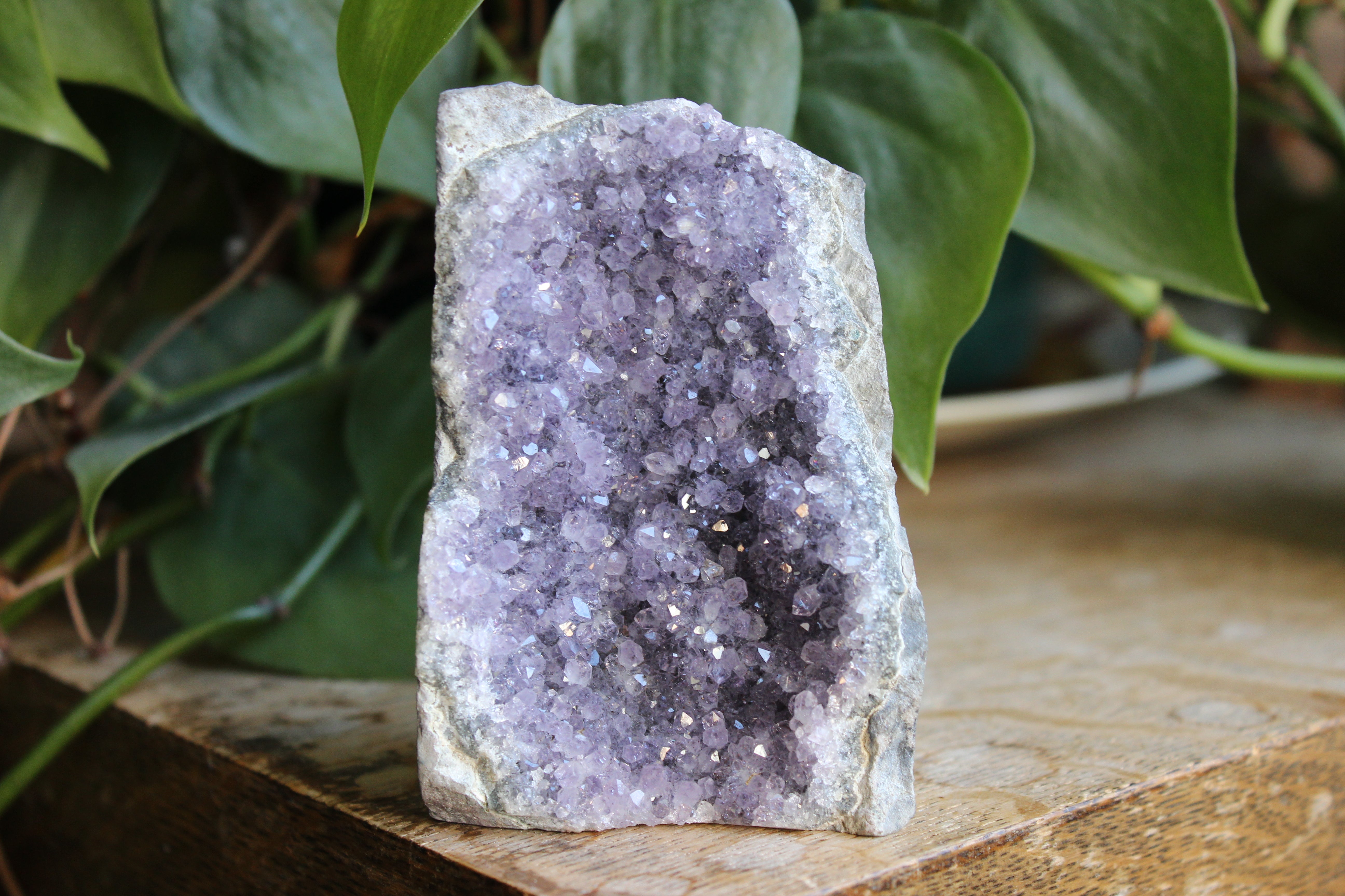 Amethyst cut base 5, new