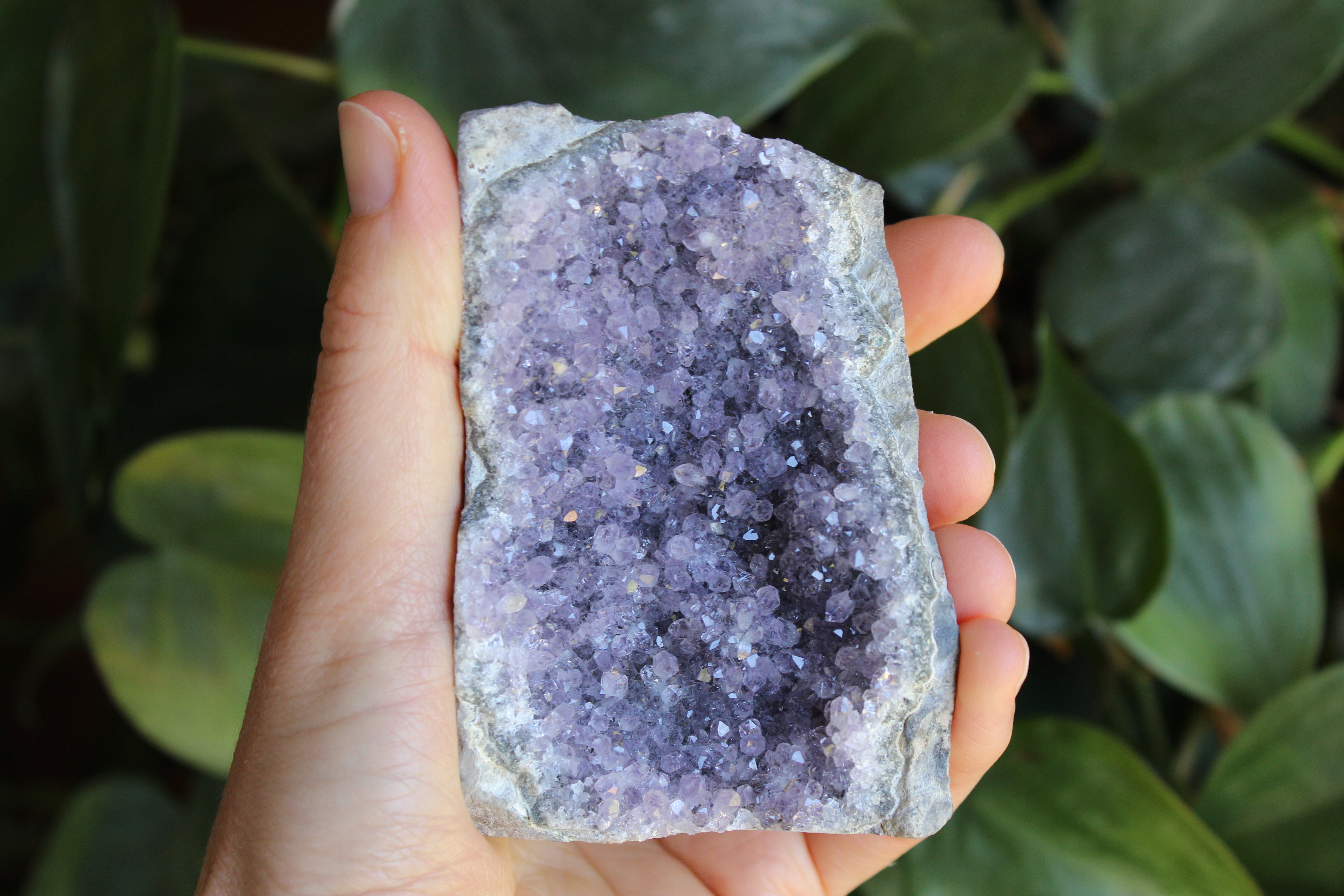 Amethyst cut base 5, new