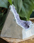 Amethyst cut base 6, new