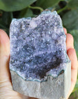 Amethyst cut base 6, new