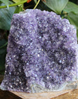 Amethyst cut base 8, new