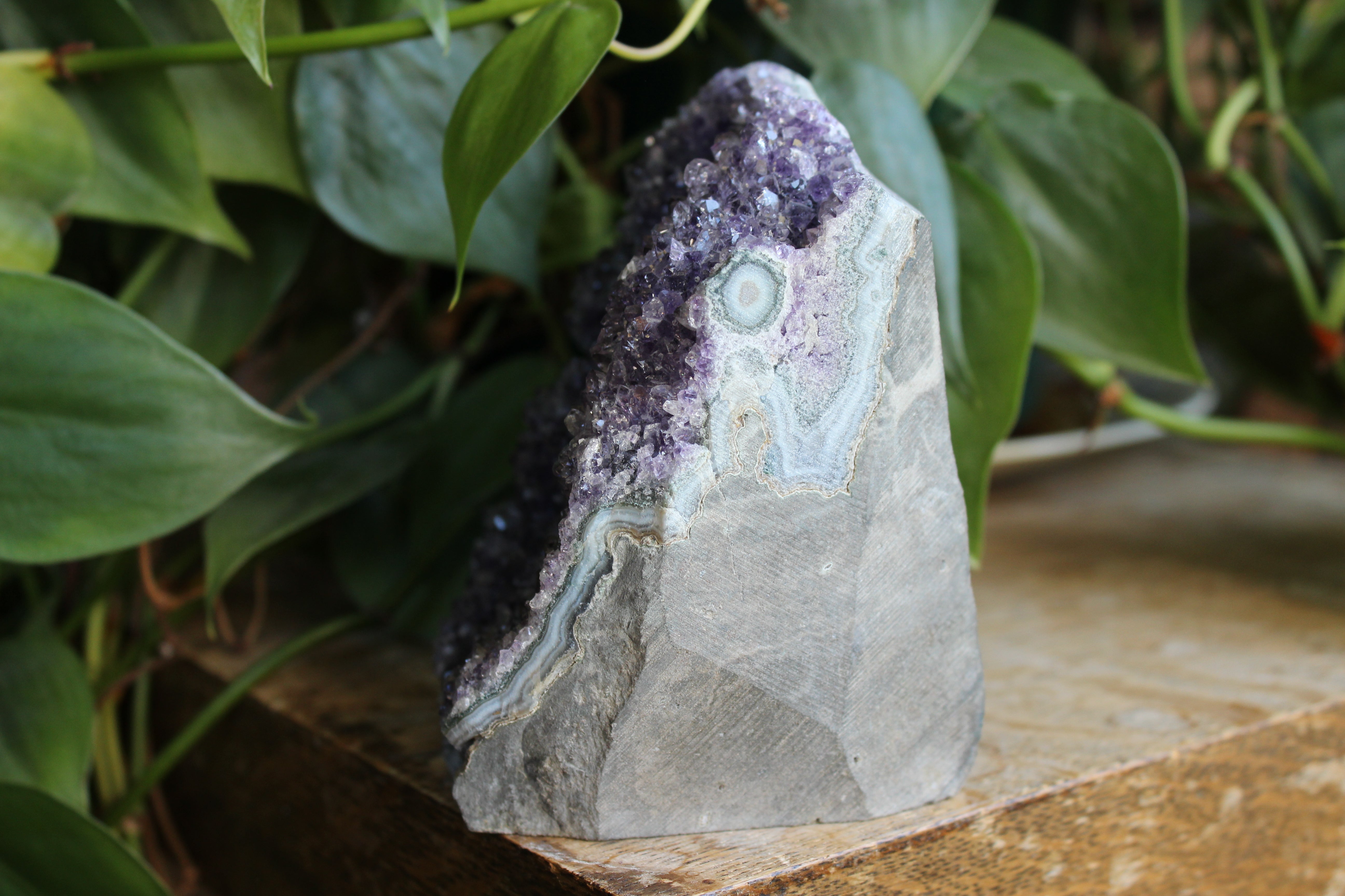 Amethyst cut base 8, new