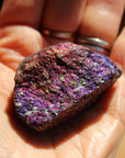 Peacock ore 1, new
