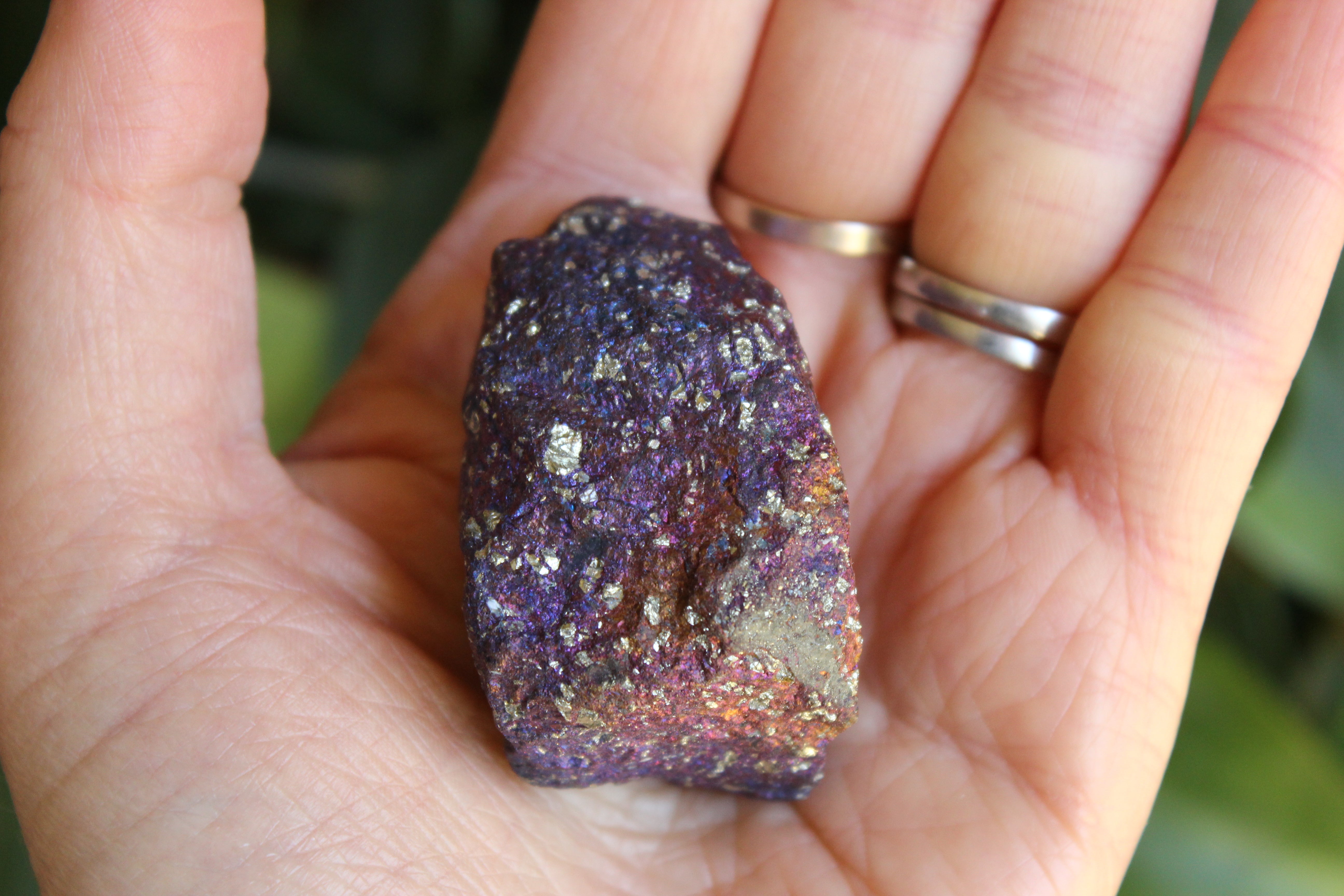 Peacock ore 1, new