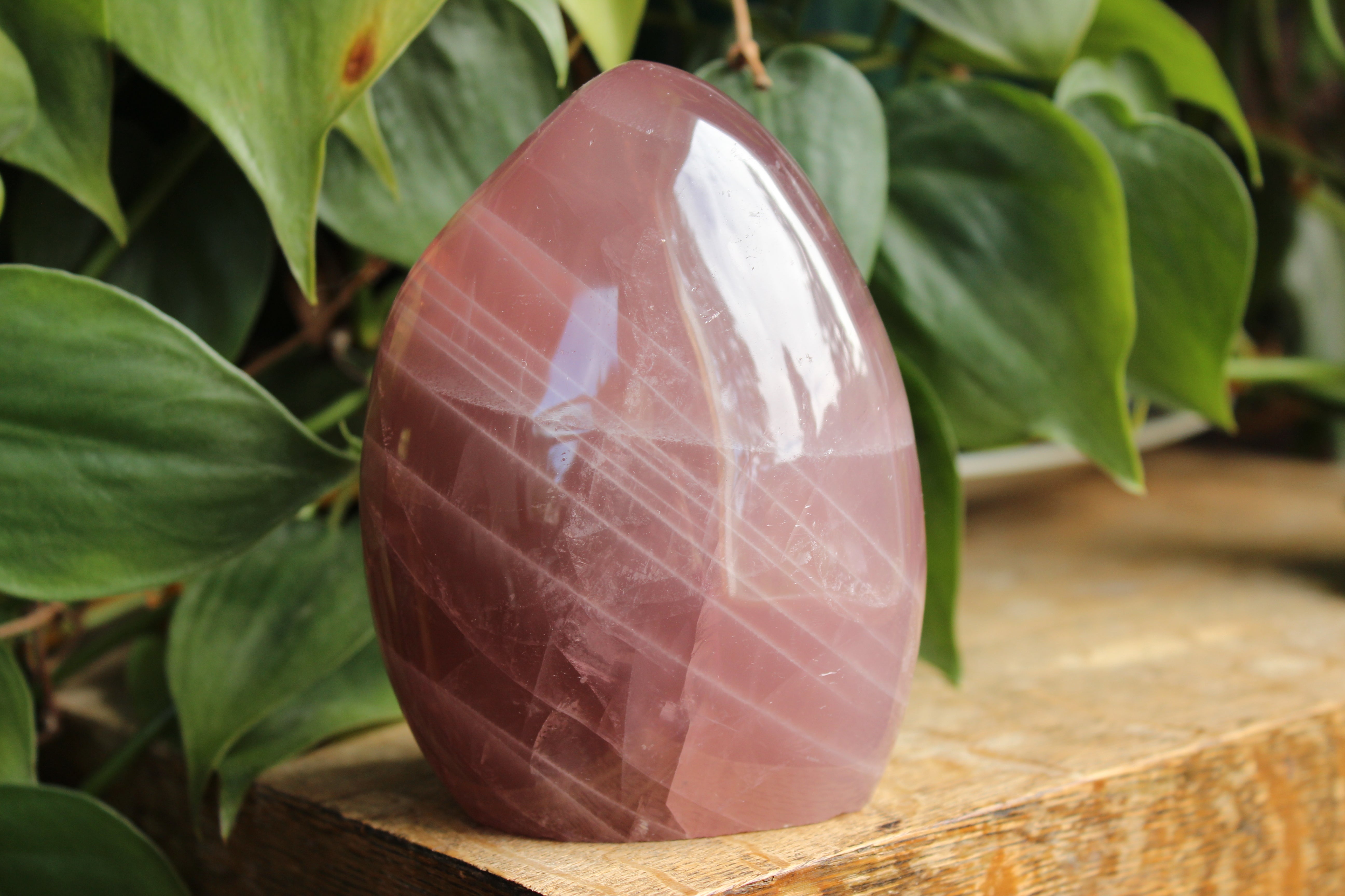 Lavender rose quartz free form 3, new