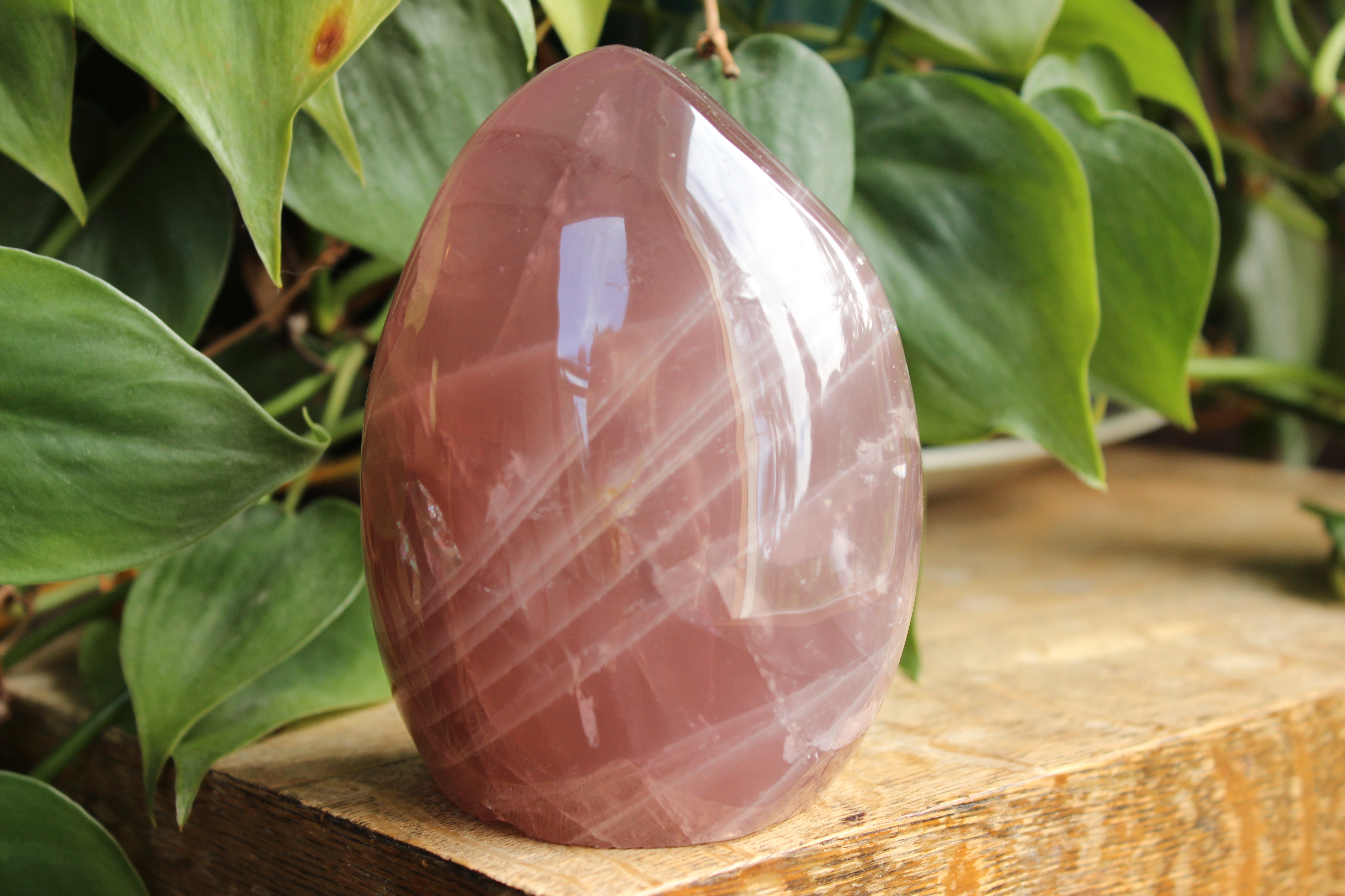 Lavender rose quartz free form 3, new