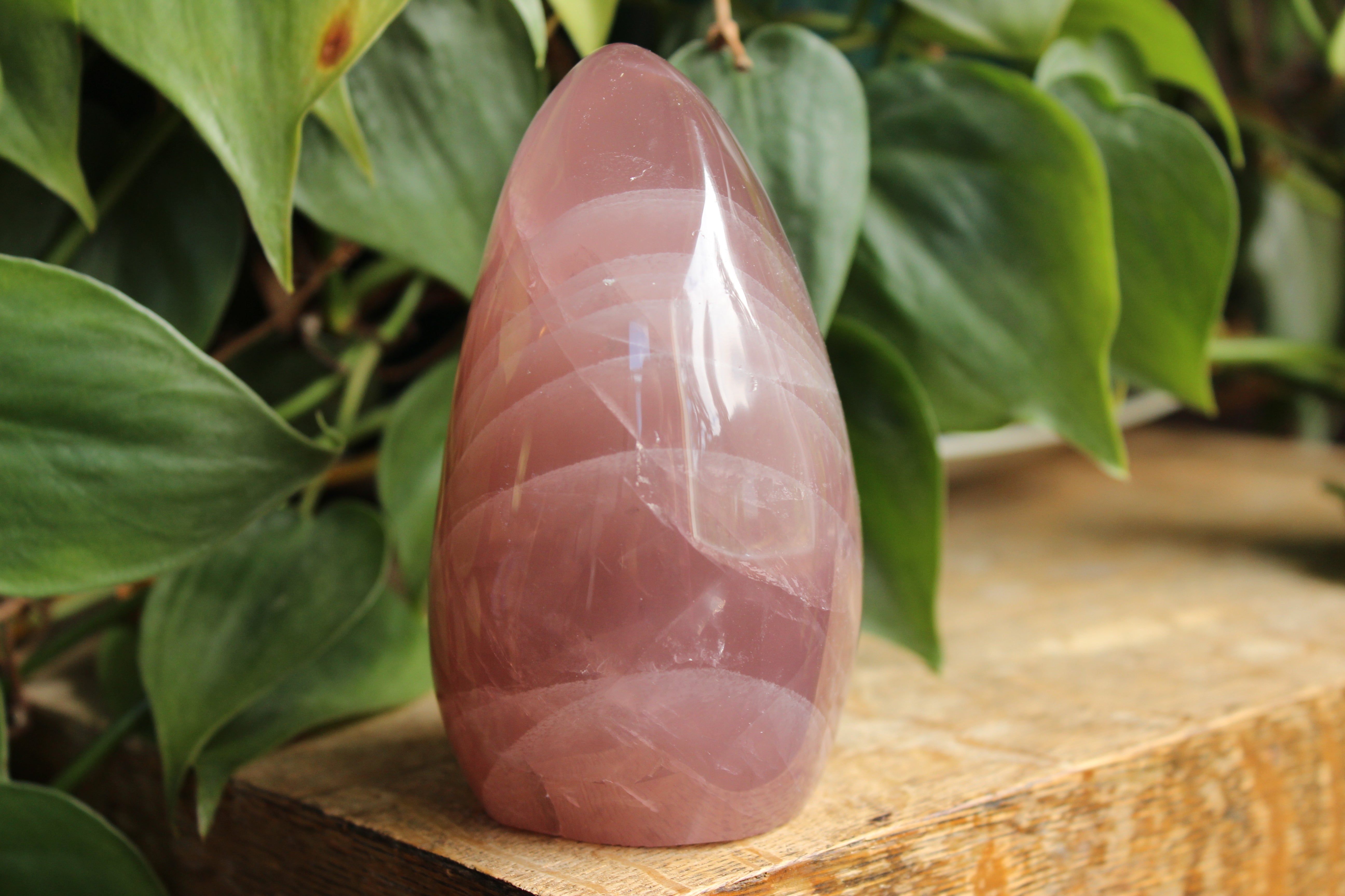 Lavender rose quartz free form 3, new