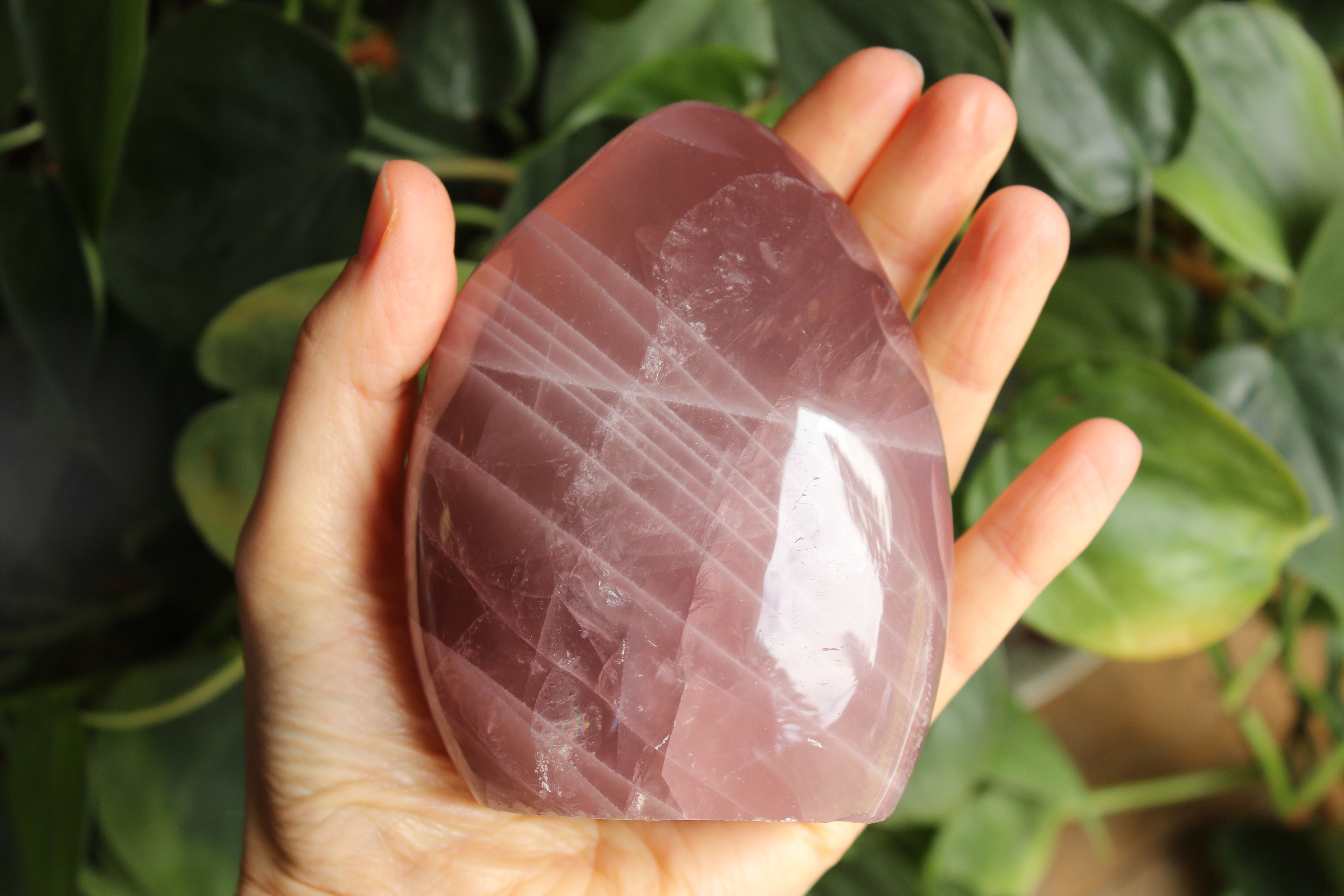 Lavender rose quartz free form 3, new