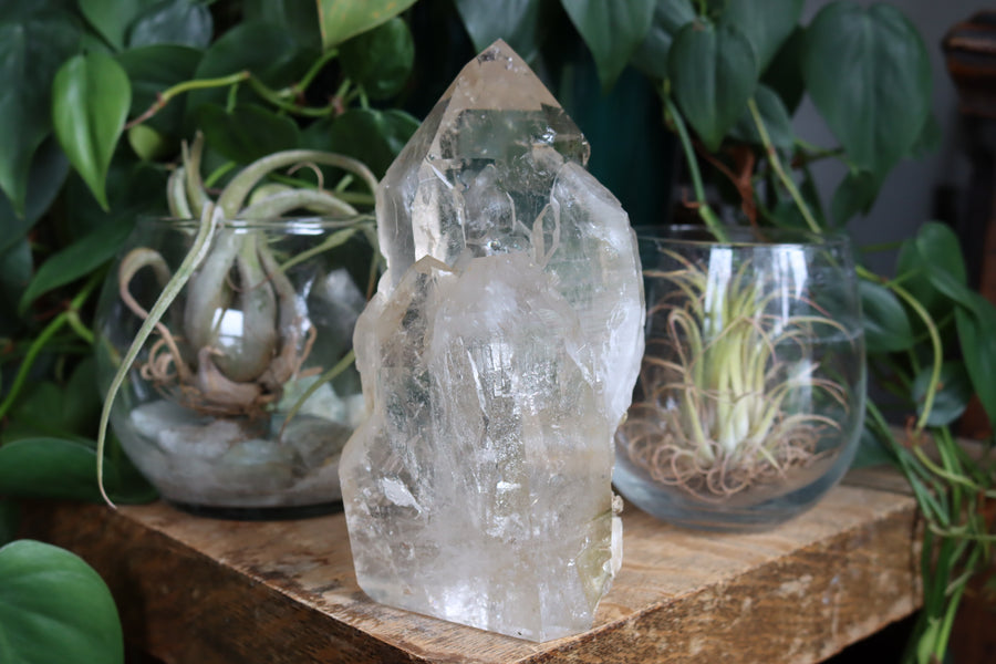 Elestial citrine with mica 1