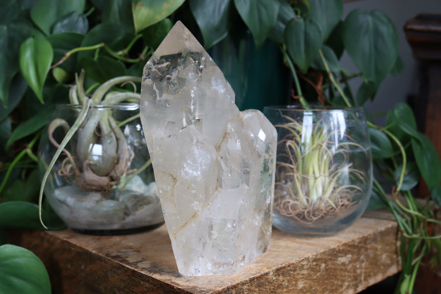 Elestial citrine with mica 1