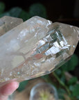 Elestial citrine with mica 1
