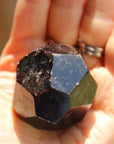 Garnet 1, new