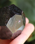 Garnet 1, new