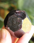 Garnet 1, new