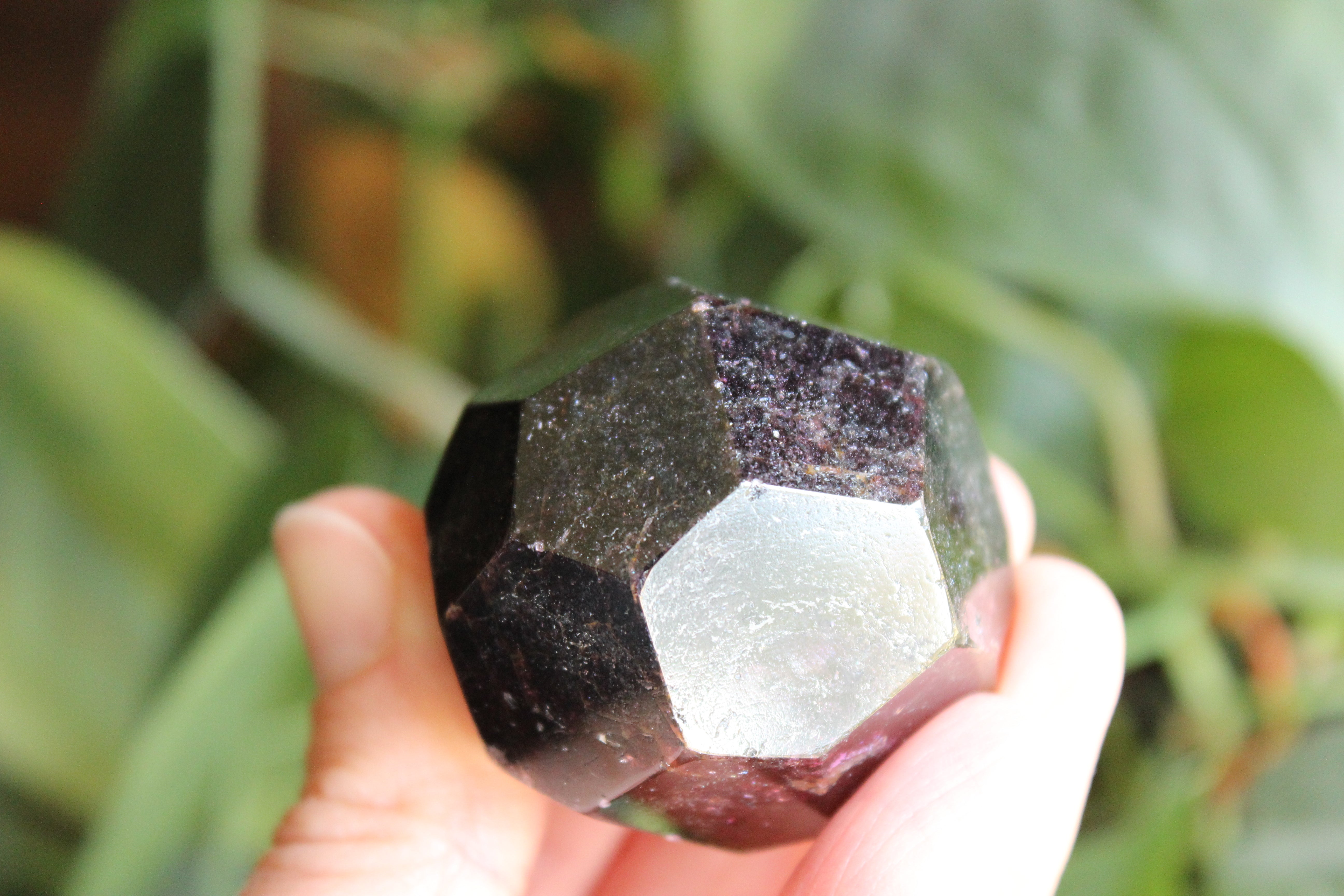 Garnet 1, new
