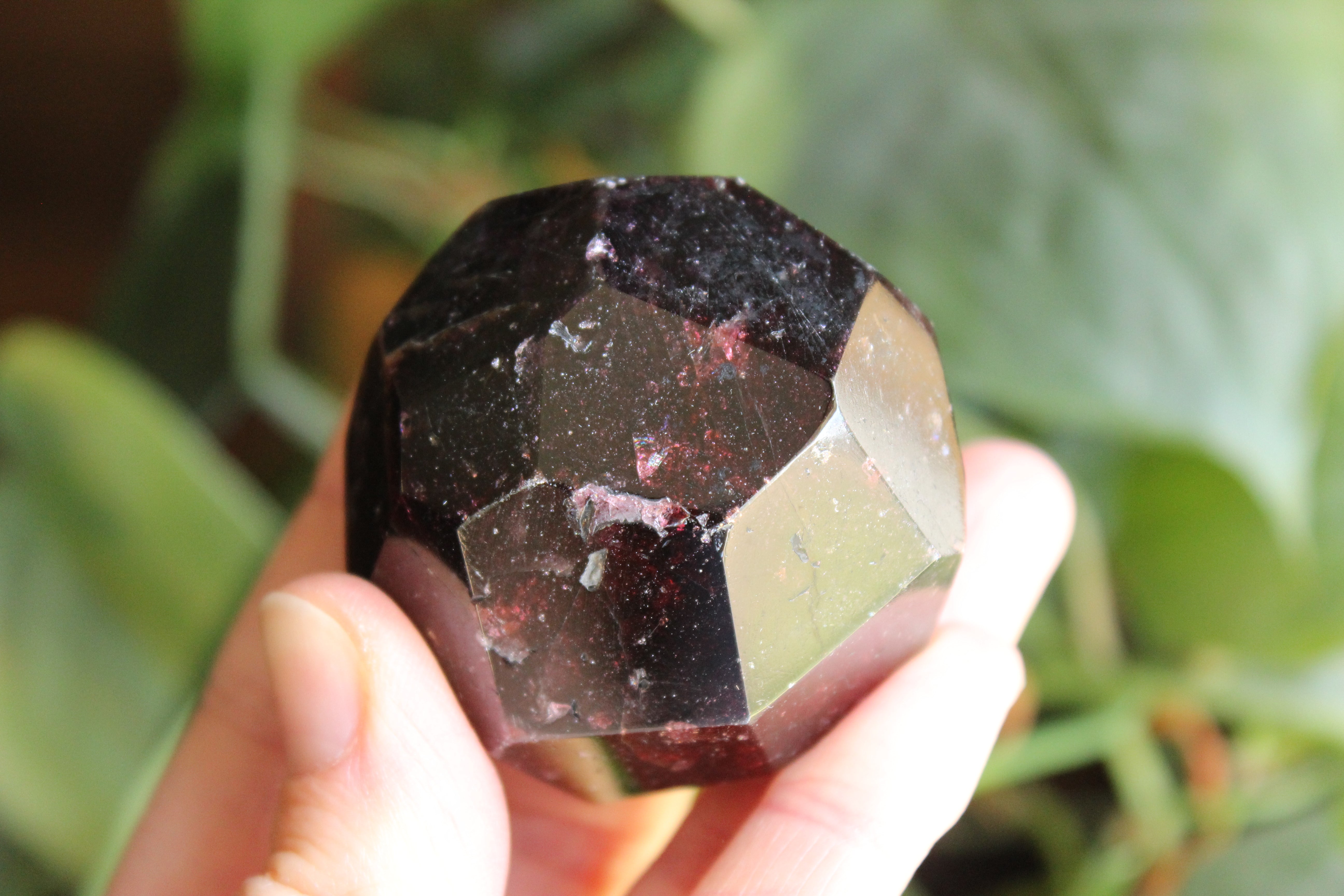 Garnet 3, new