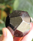 Garnet 4, new