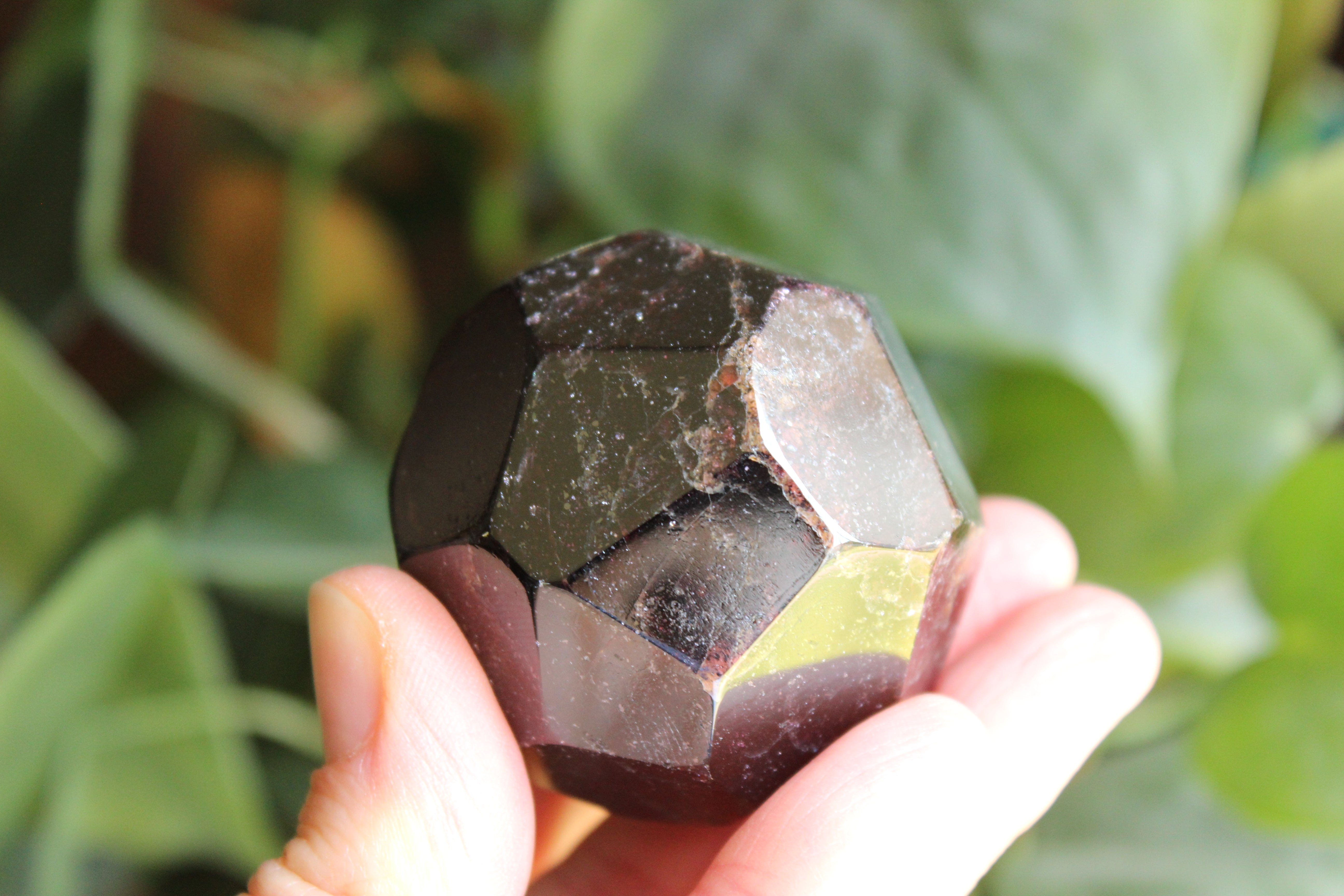Garnet 4, new