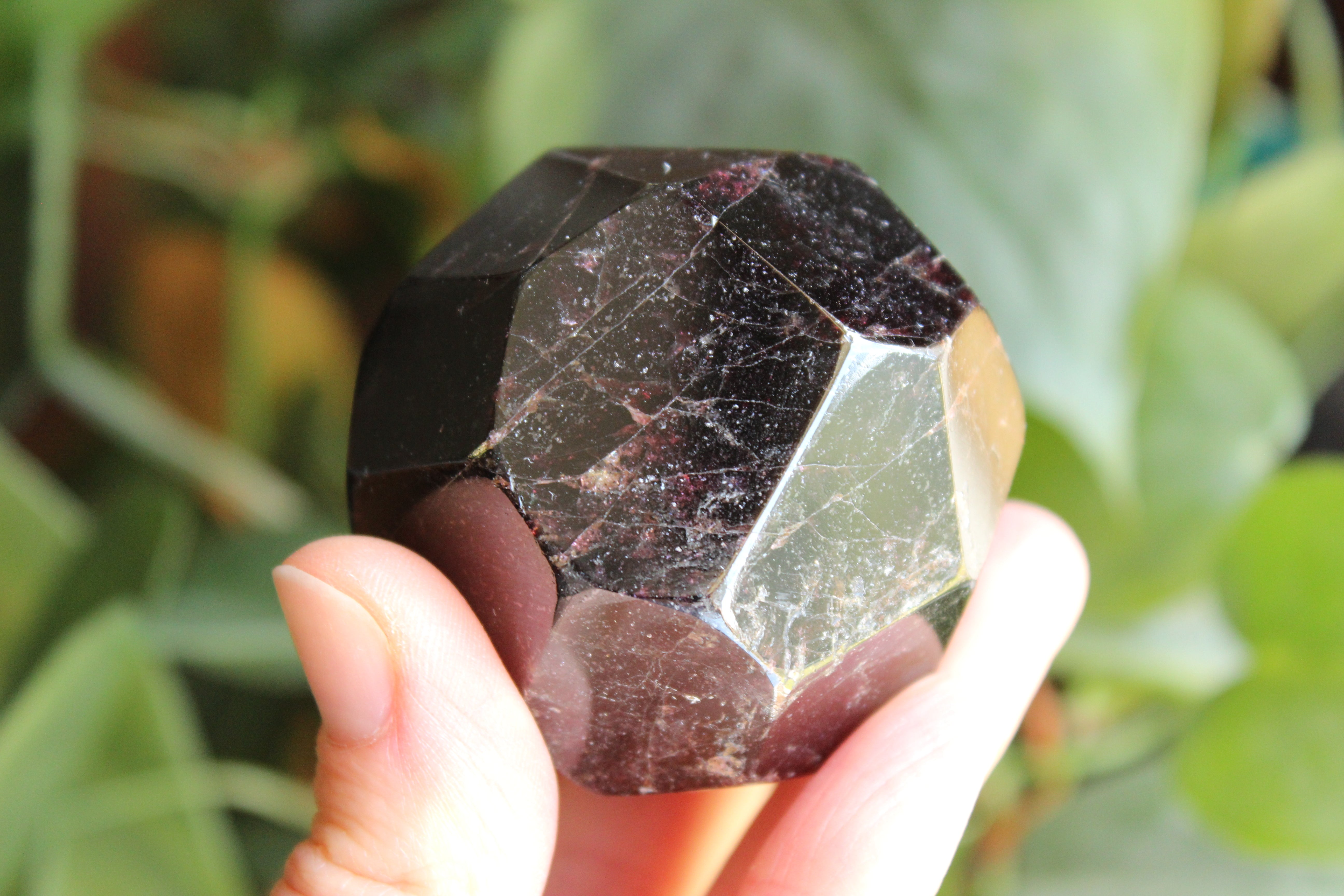 Garnet 5, new