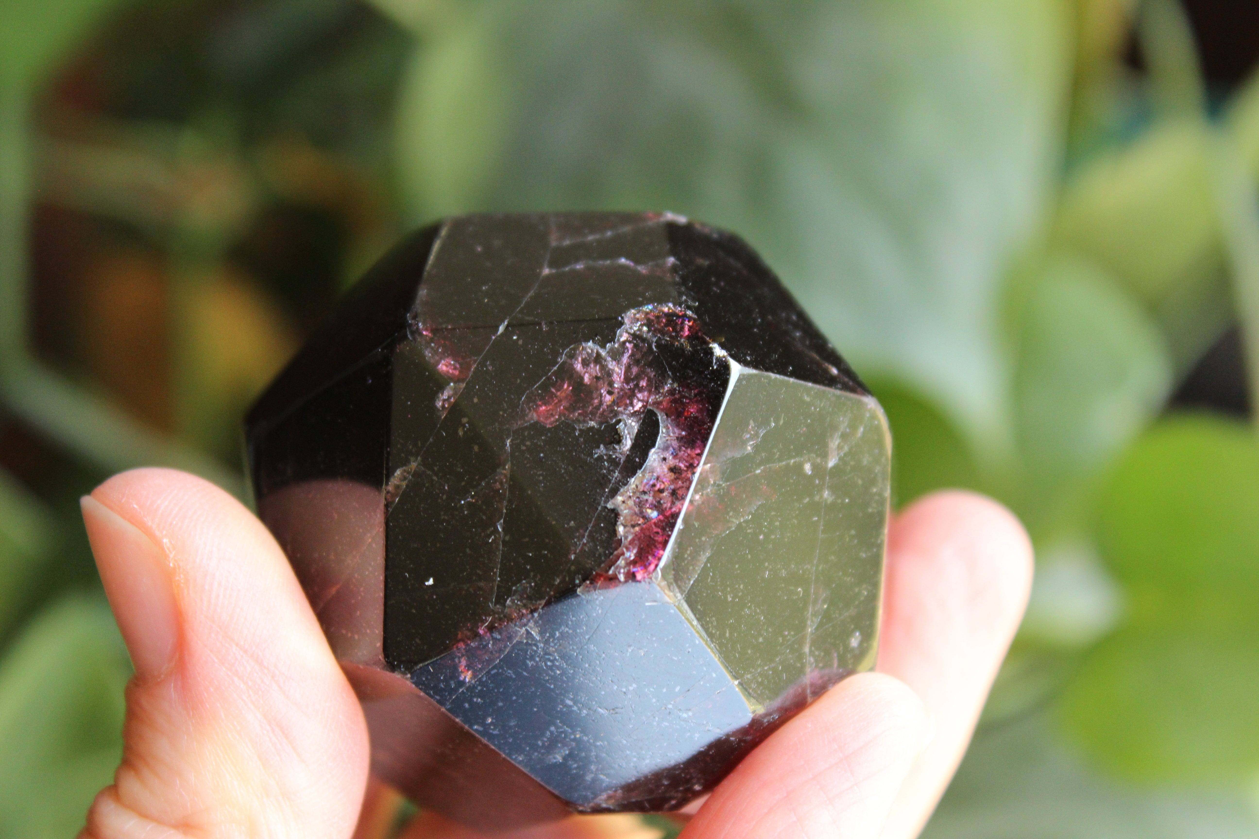Garnet 5, new