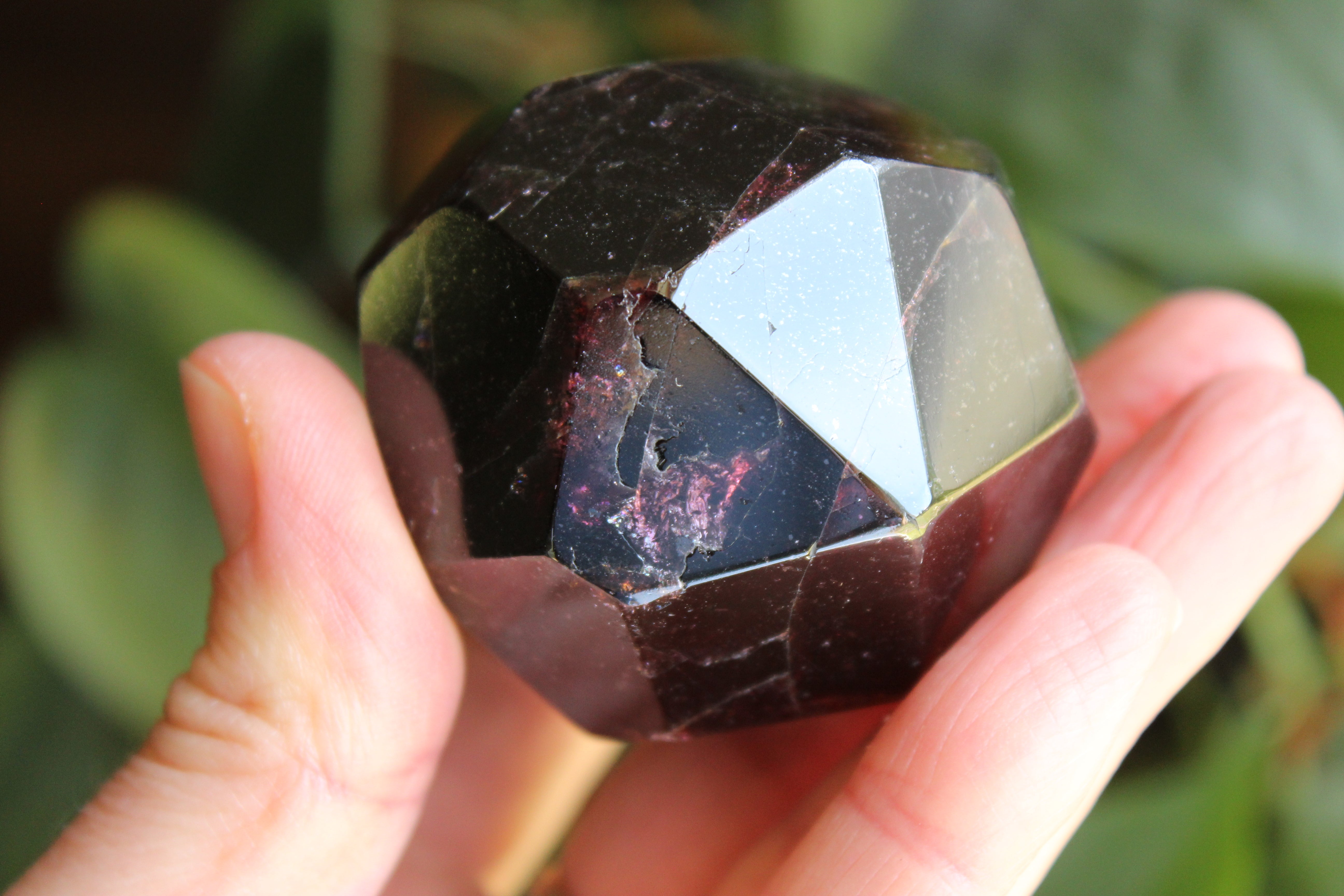 Garnet 5, new
