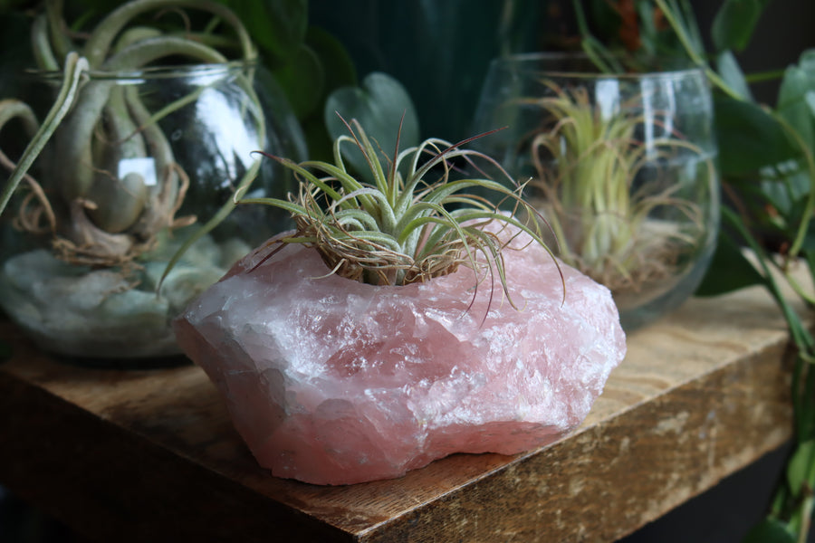 Rose quartz candle/plant holder 1
