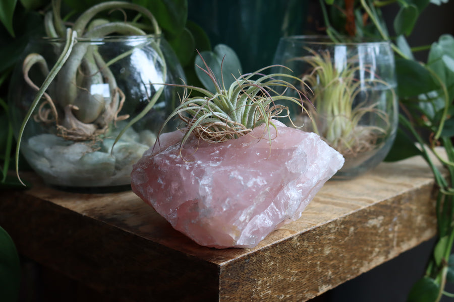 Rose quartz candle/plant holder 1
